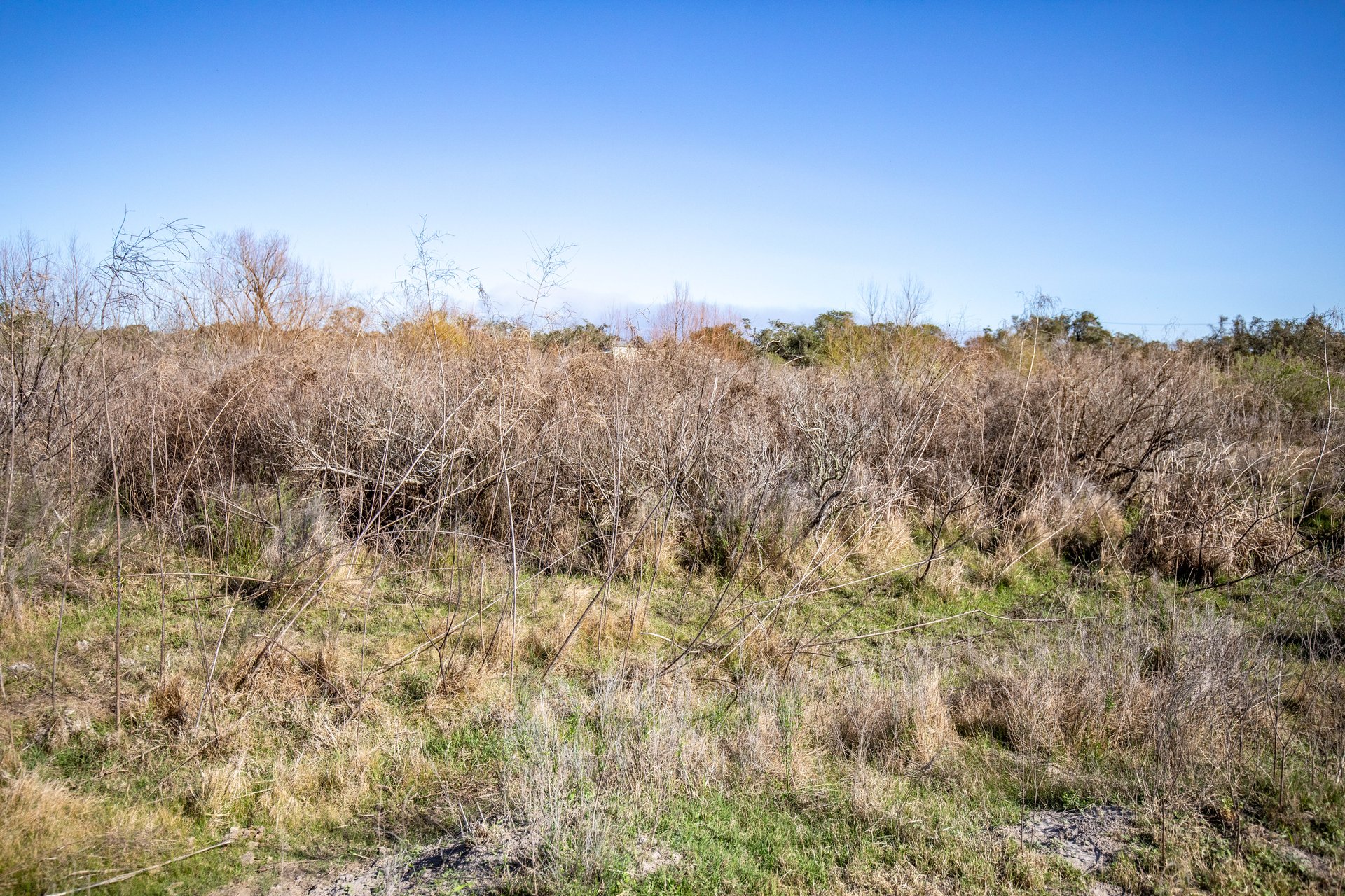 Lamar Peninsula Development Tract |  51.81± Acres | Aransas County