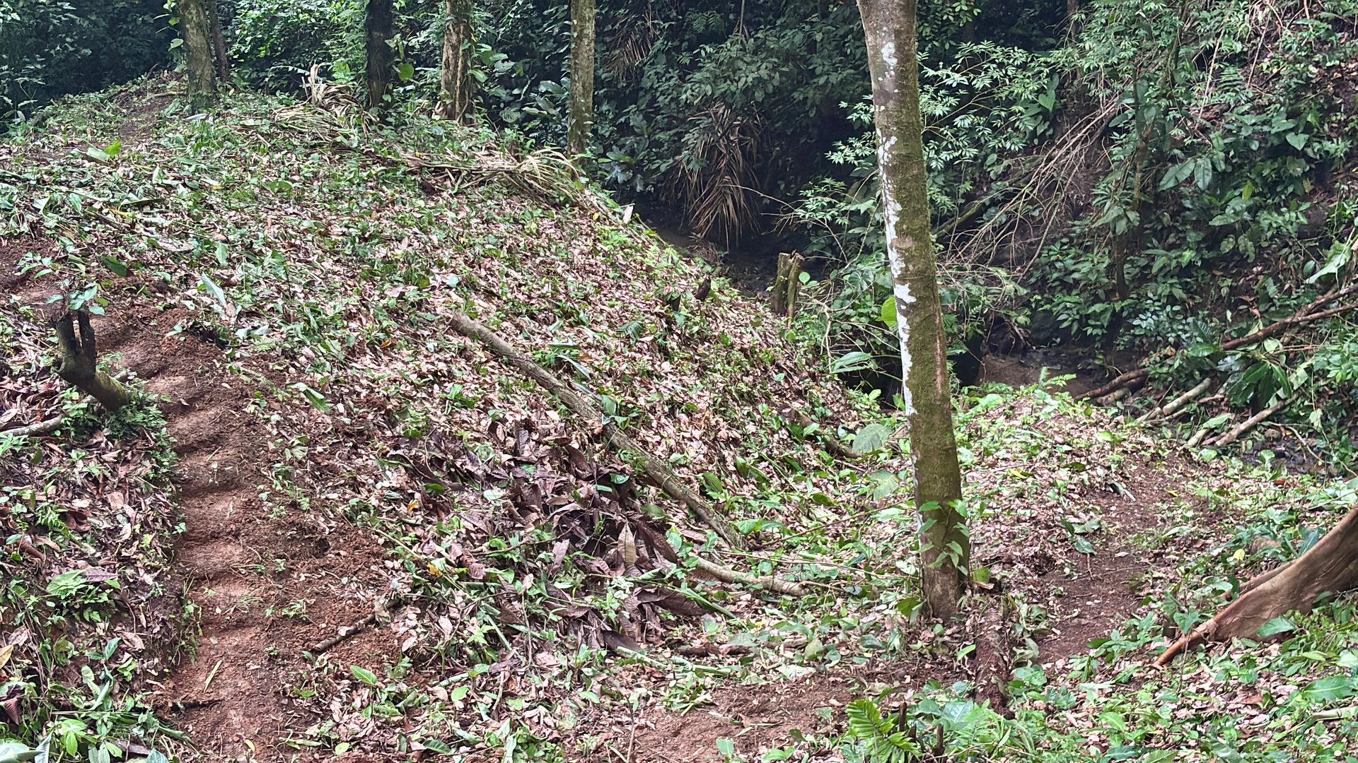 Unique property with creek and waterfall in lush jungle