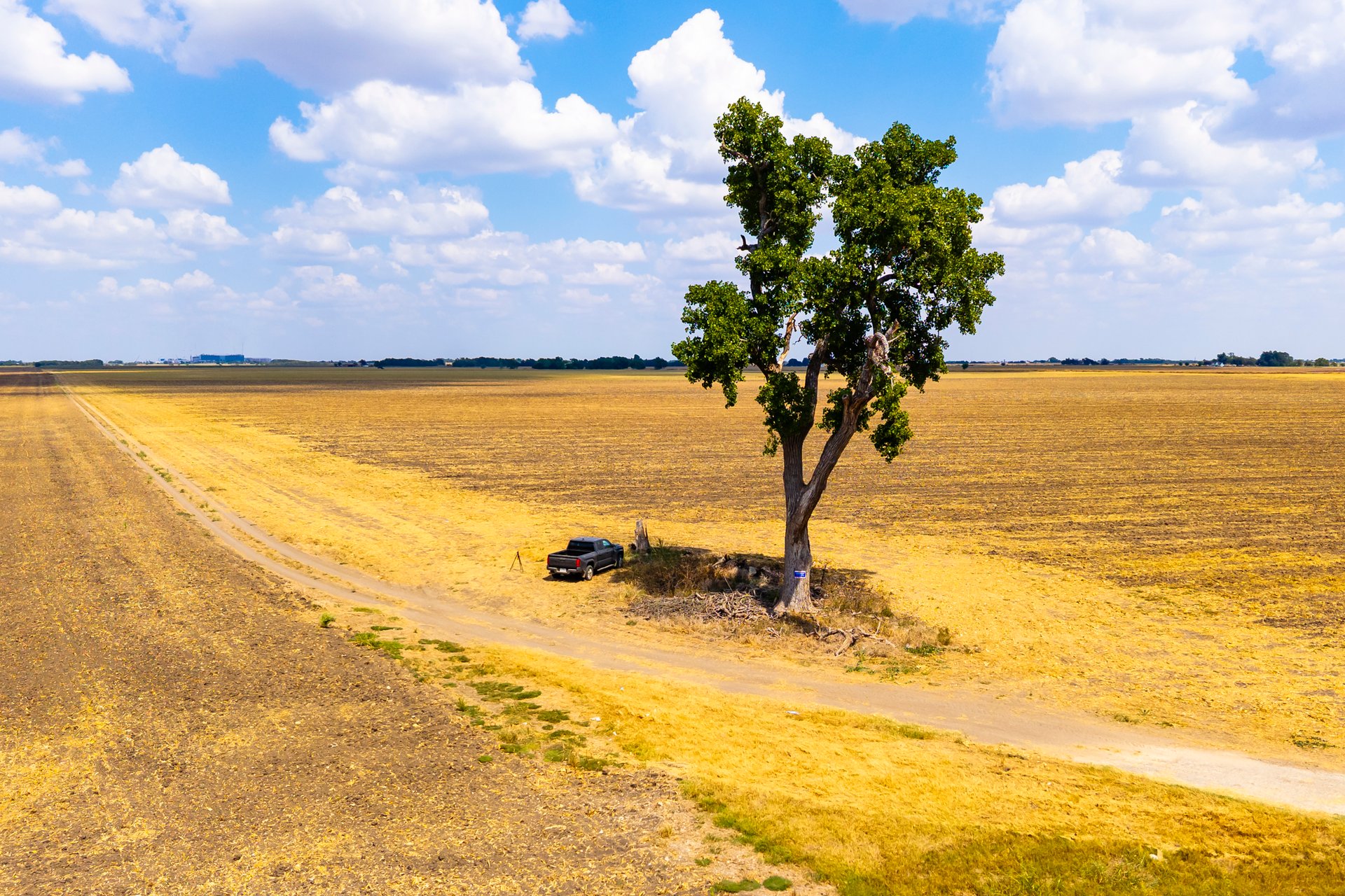 272 Acres at FM 1660 & FM 973, Just South of Samsung - Taylor, TX