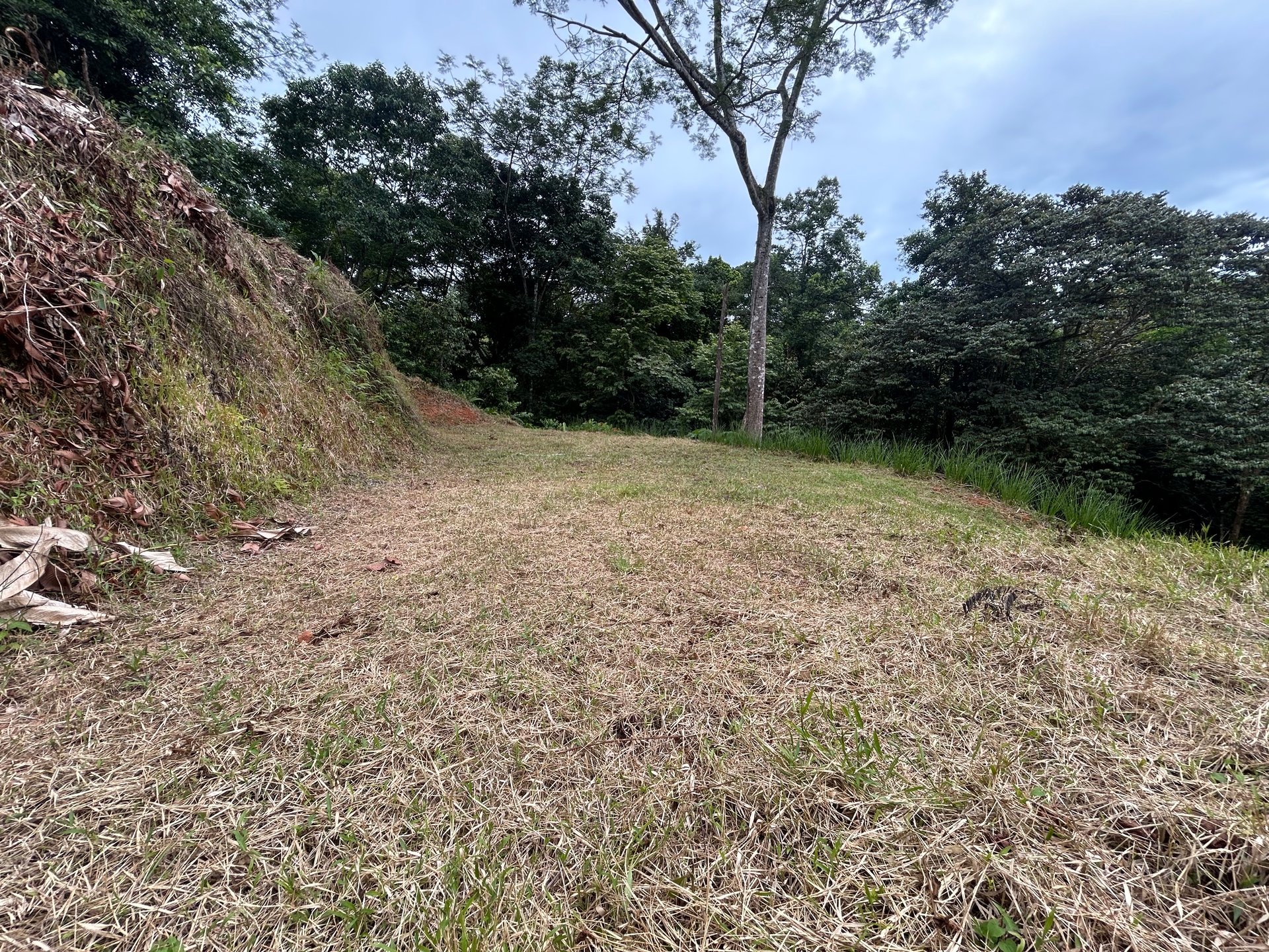 Beautiful Lot in Phase 9 Ojochal, Gated Communuity - NOW WITH LEGAL WATER