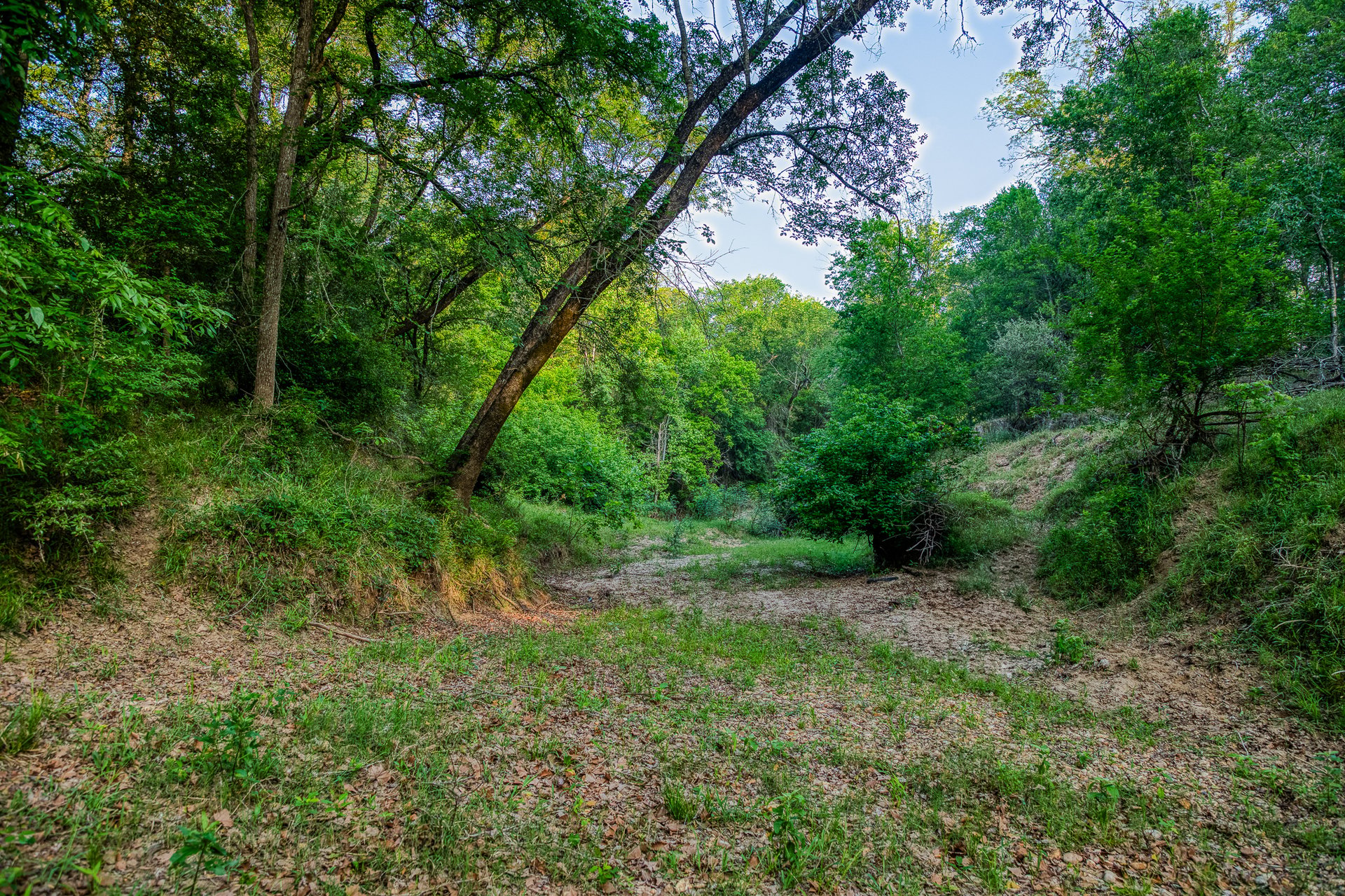 Revival Ranch TX