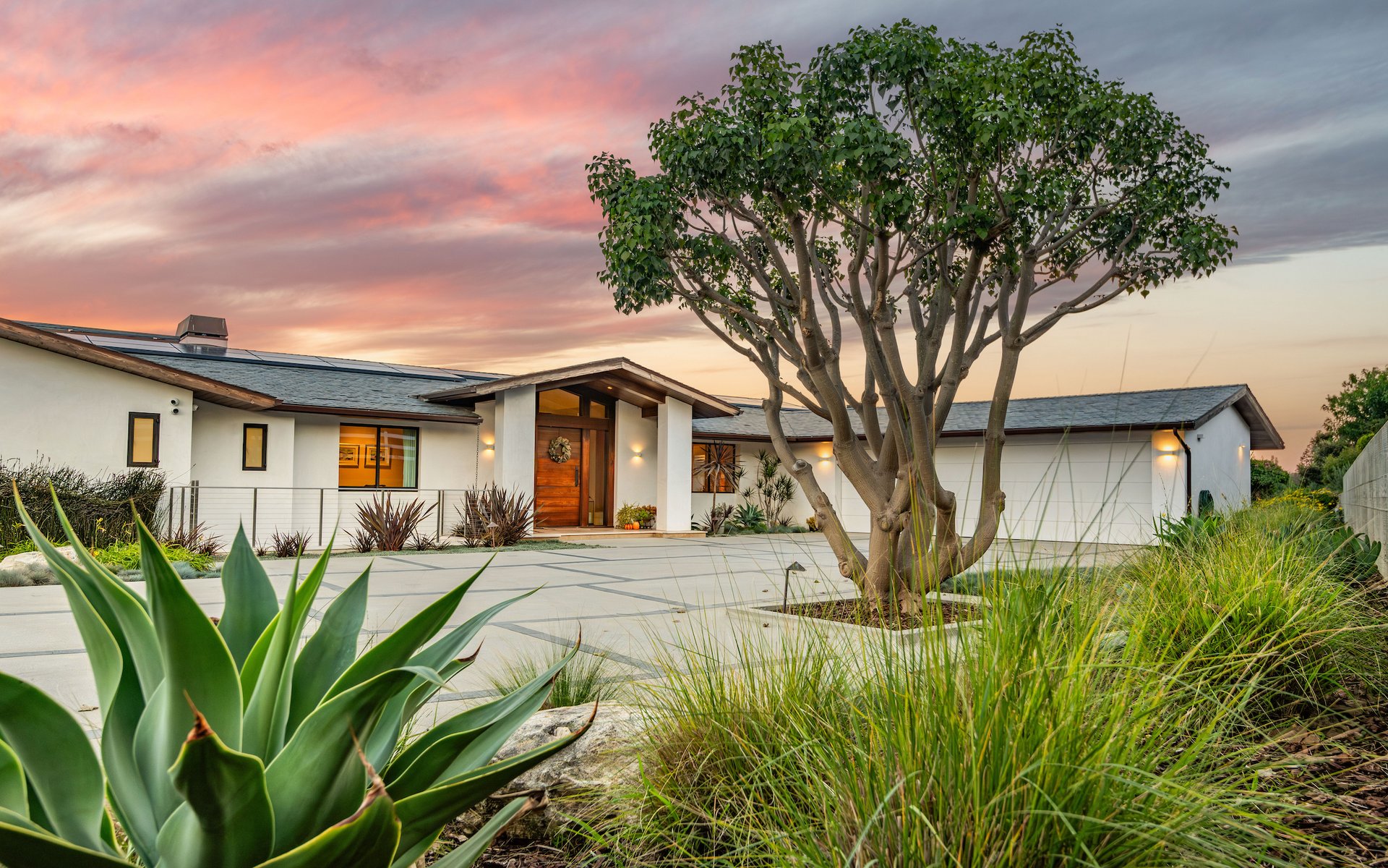 38 Saddleback