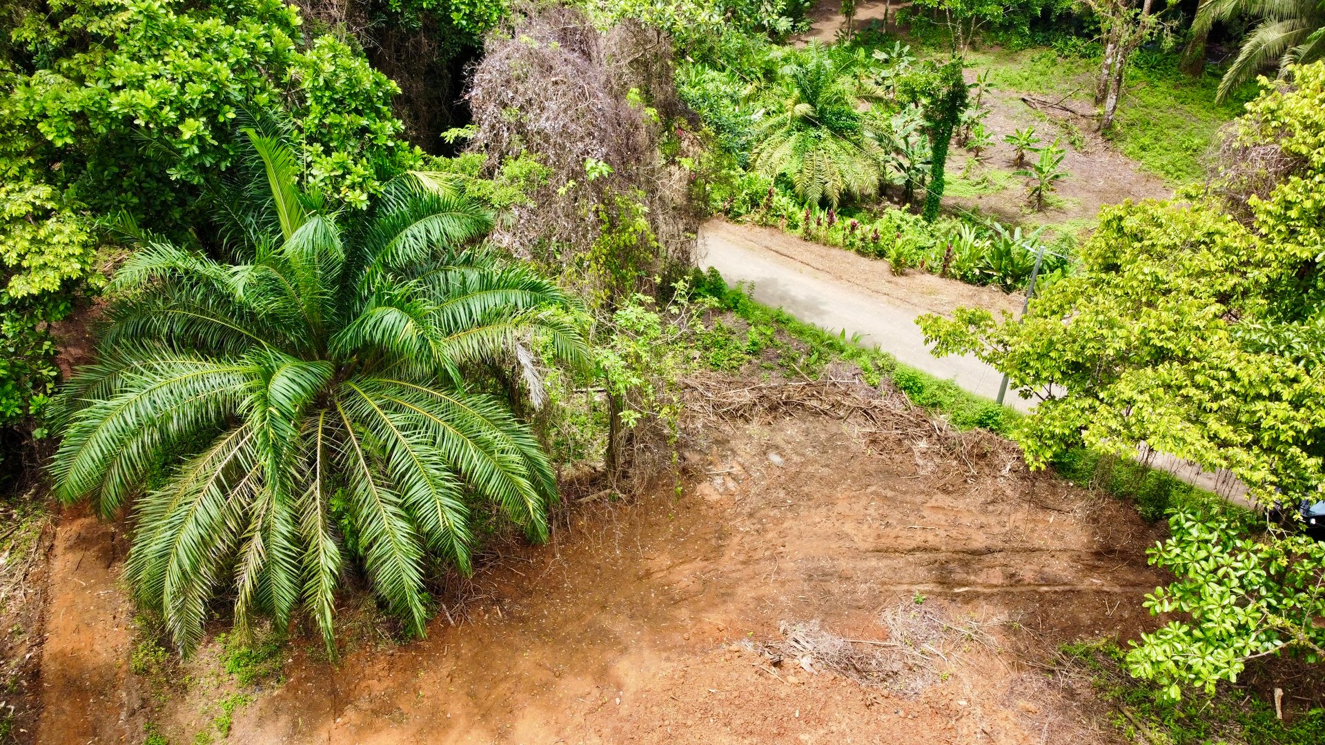 Ready-to-Build Land in San Antonio de Damas: 2,6-Acre with Terraces & Road Frontage