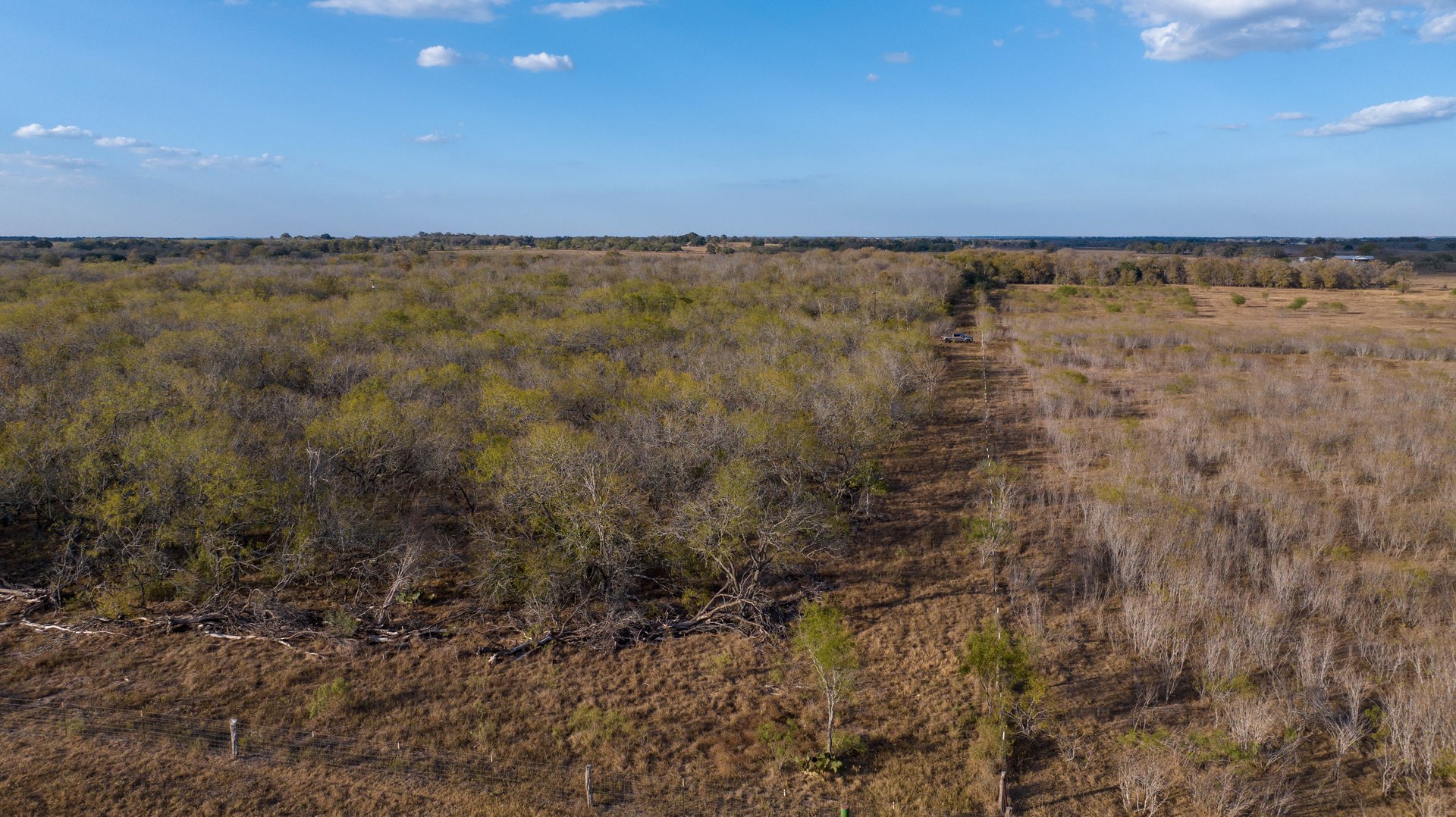 Gonzales County | 104+/- Acres