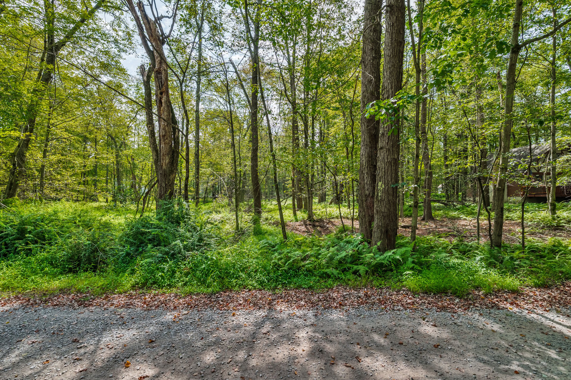 804 Evergreen Drive
