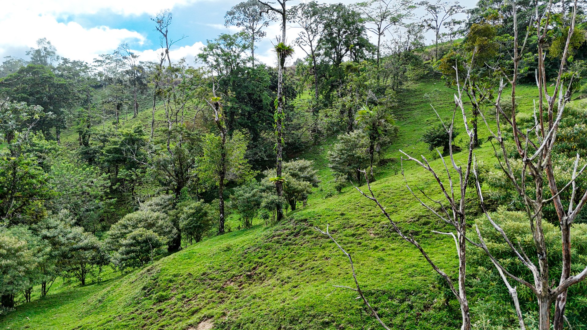 Finca Altamira | Boasting breathtaking panoramic views of the majestic Miravalles Volcano!