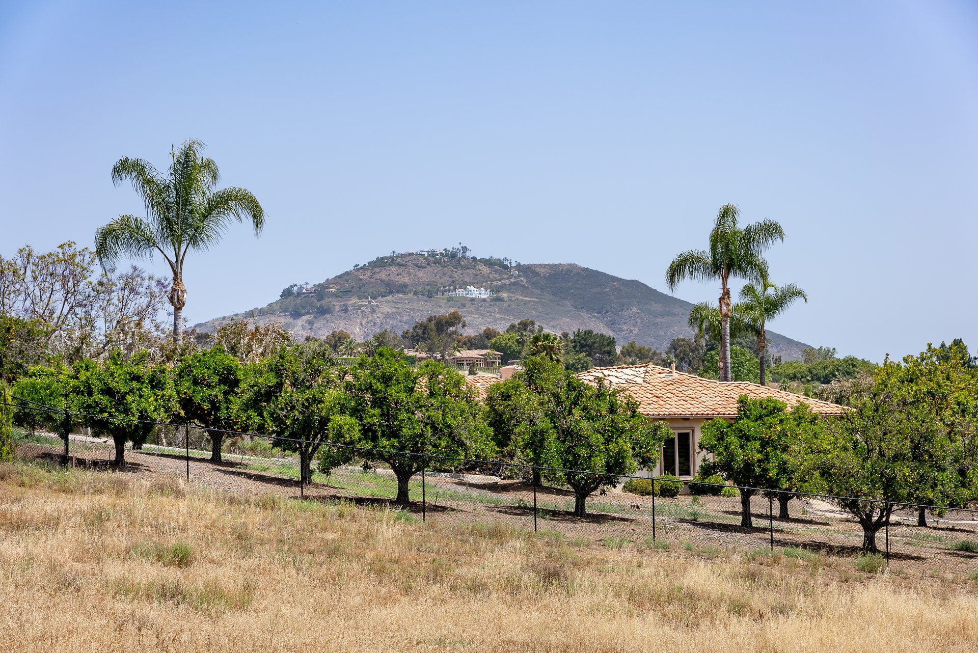 Expansive Lot in the Covenant