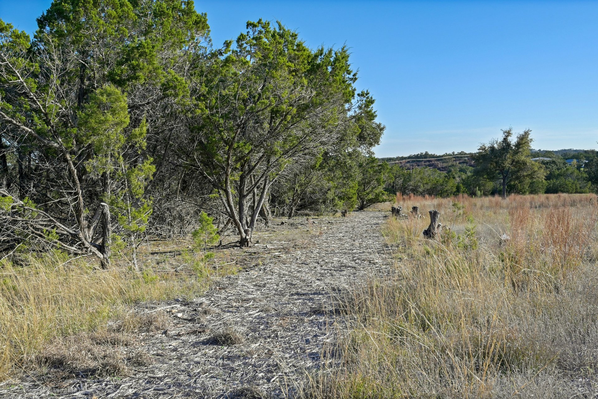 Madrone Canyon Lot 71A