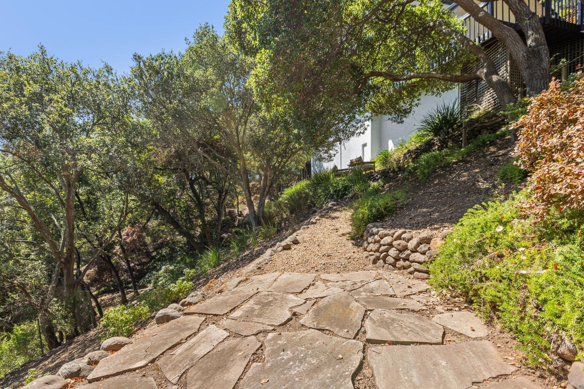 12 Tara View Road