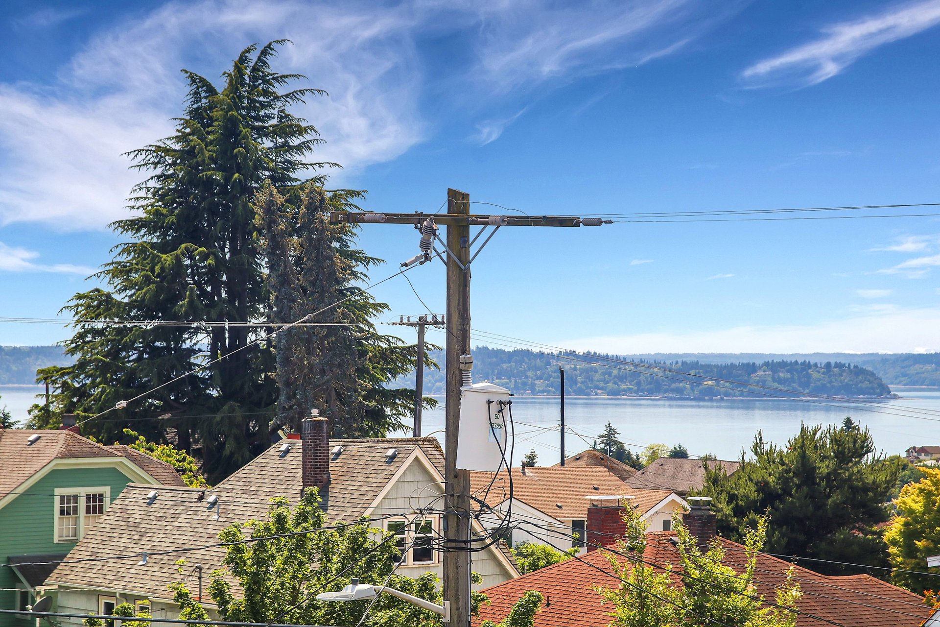 Water view over Seattle rooftops, framed by a tall evergreen and utility poles.