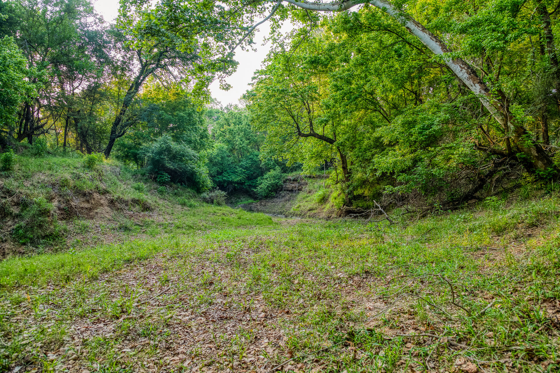 Revival Ranch TX