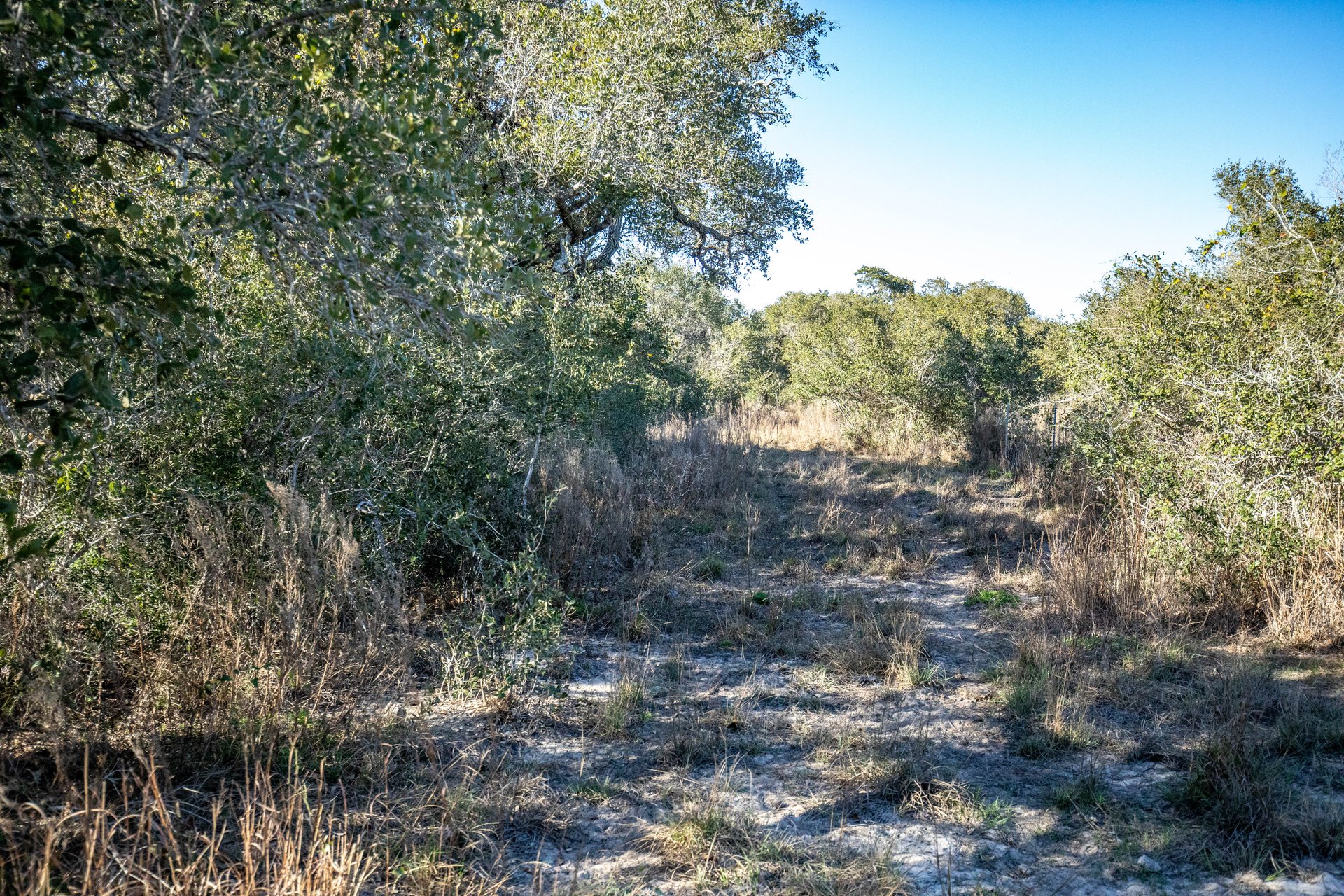 Lamar Peninsula Development Tract |  51.81± Acres | Aransas County