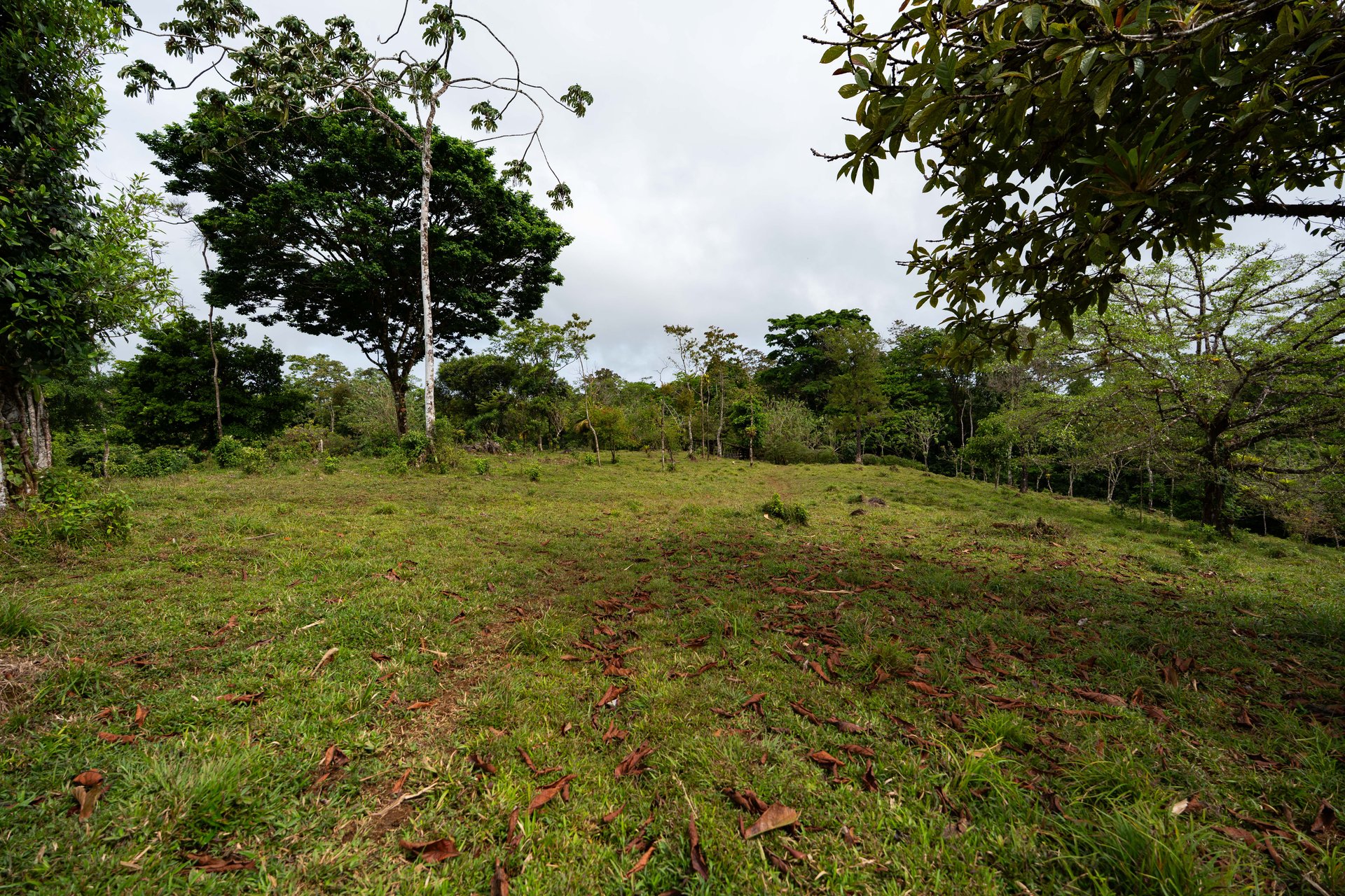 Finca Las Zompopas-Río Celeste | 113-Acre Biodiverse Property in Bijagua, Ideal for Eco-Tourism, Private Retreats, or Sustainable Development