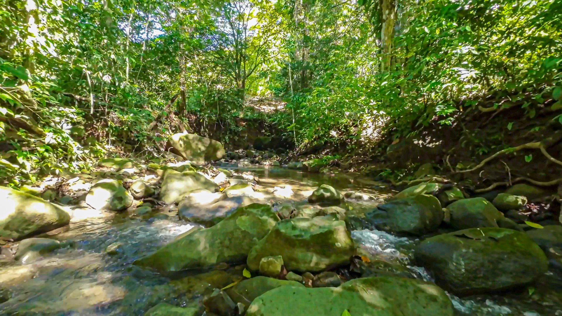 Development Parcel Central Uvita with River!