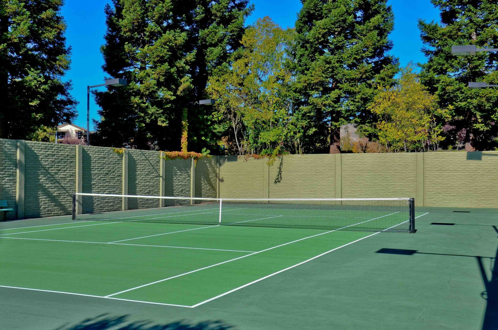 731 Lakemont Pl. #6, San Ramon