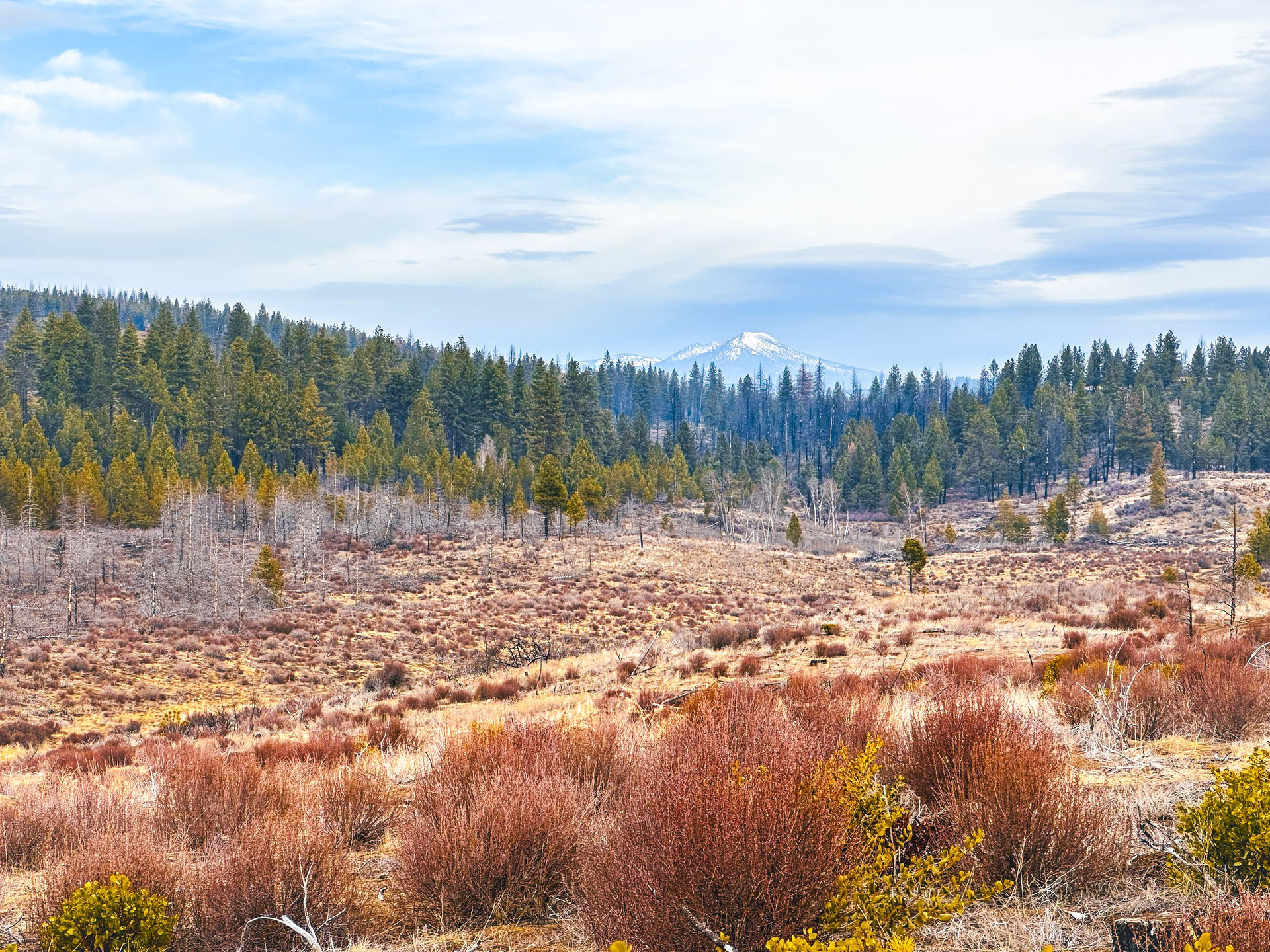 Klamath Basin