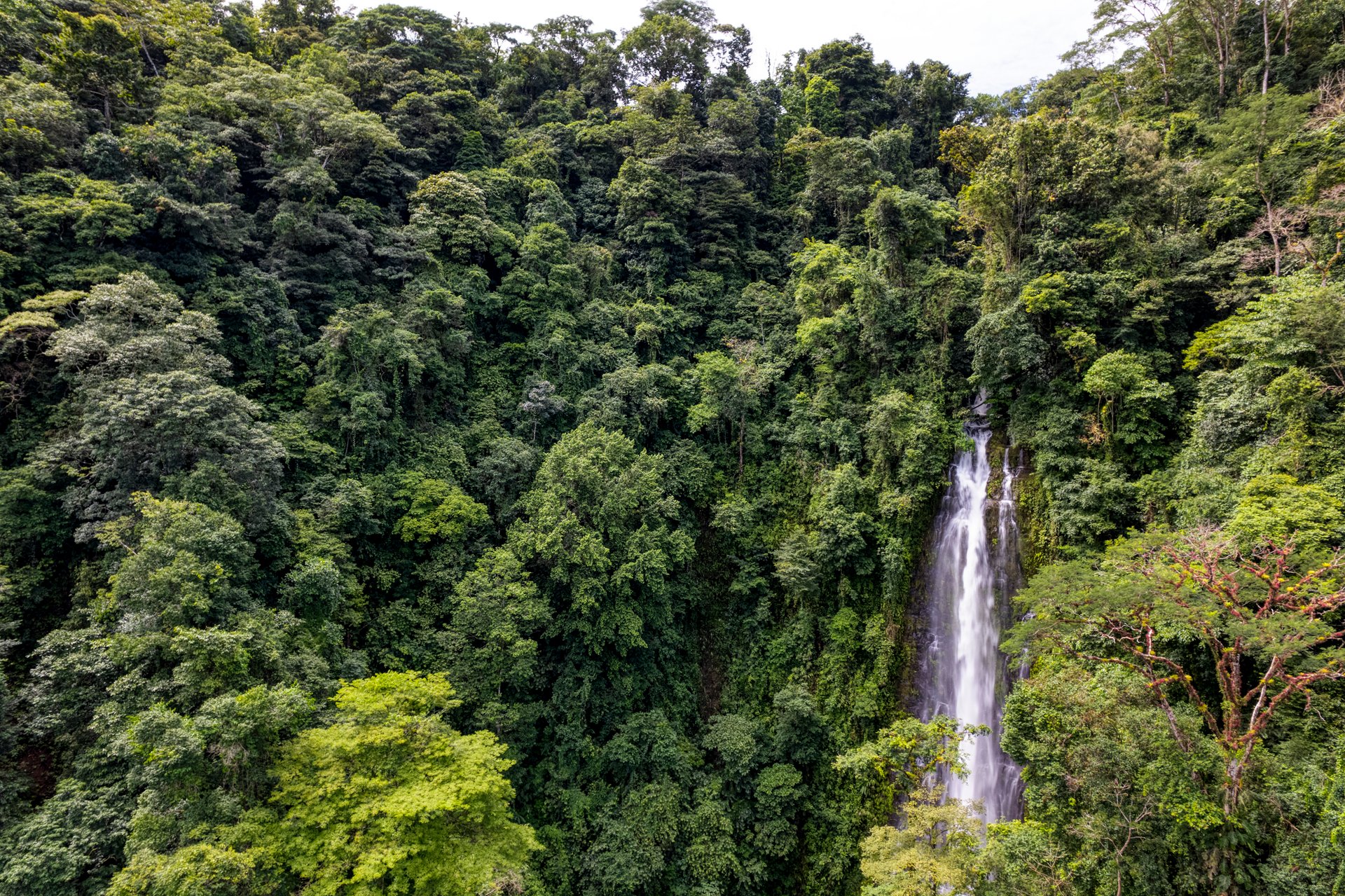 Once in a Lifetime Waterfall Farm in a Pristine Biological Corridor
