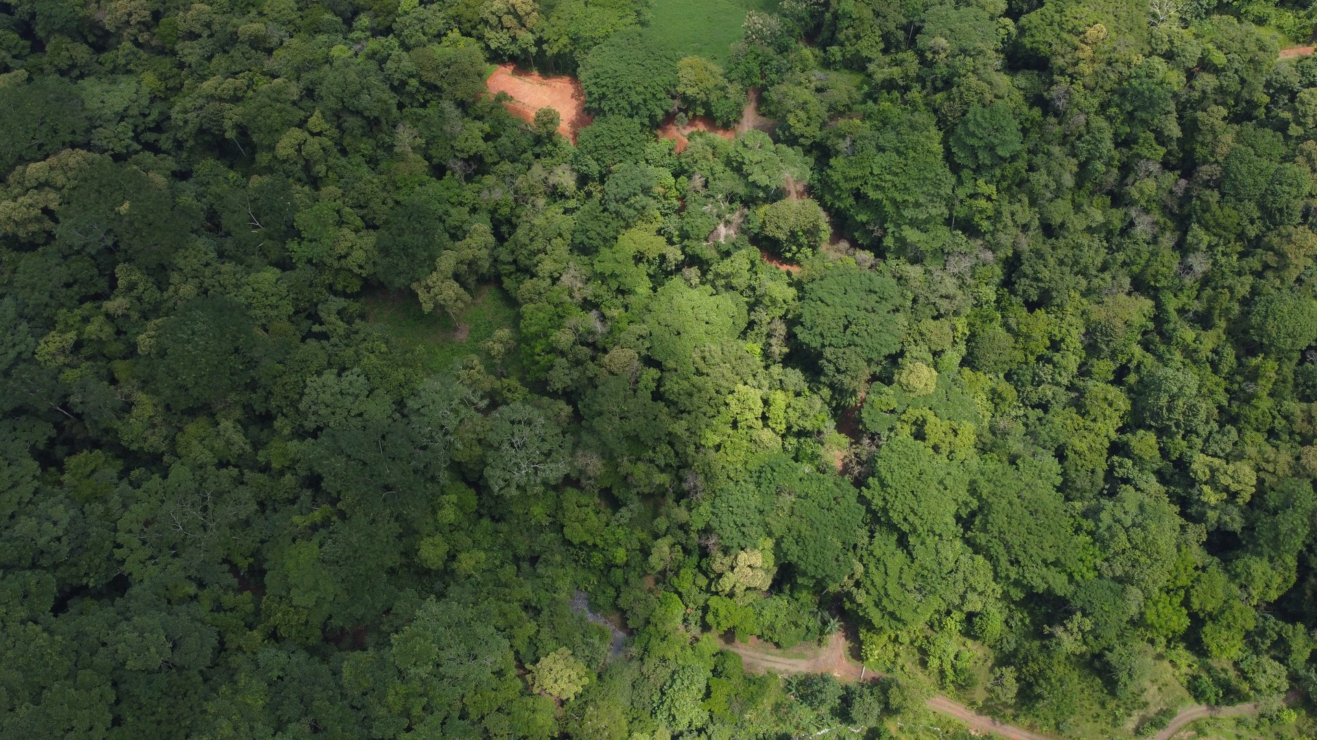 Jungle Oasis with River Frontage Near Dominical – 5.2 Acres of Pure Nature