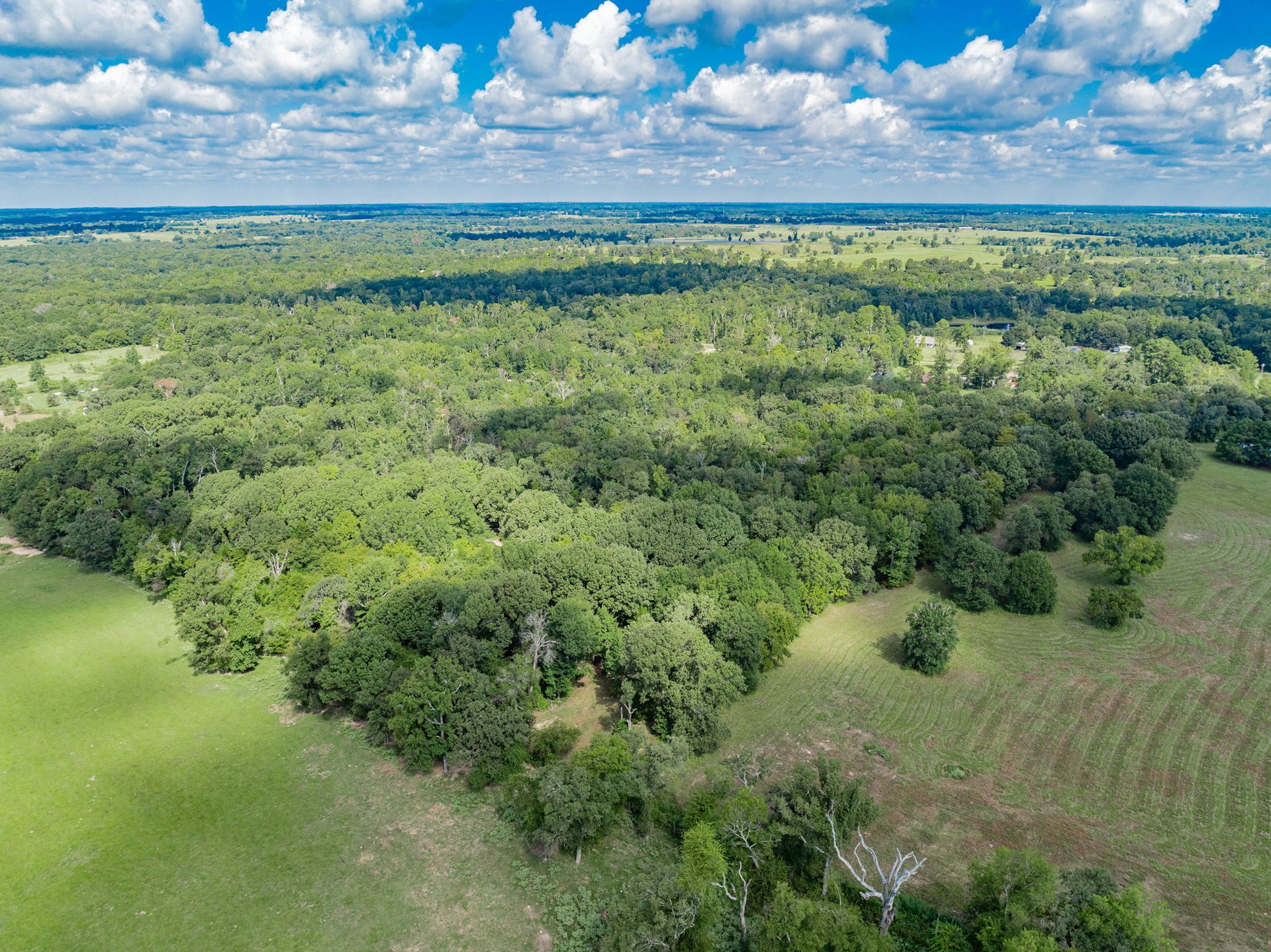 A Ben Wheeler Country Home & Land Dream!