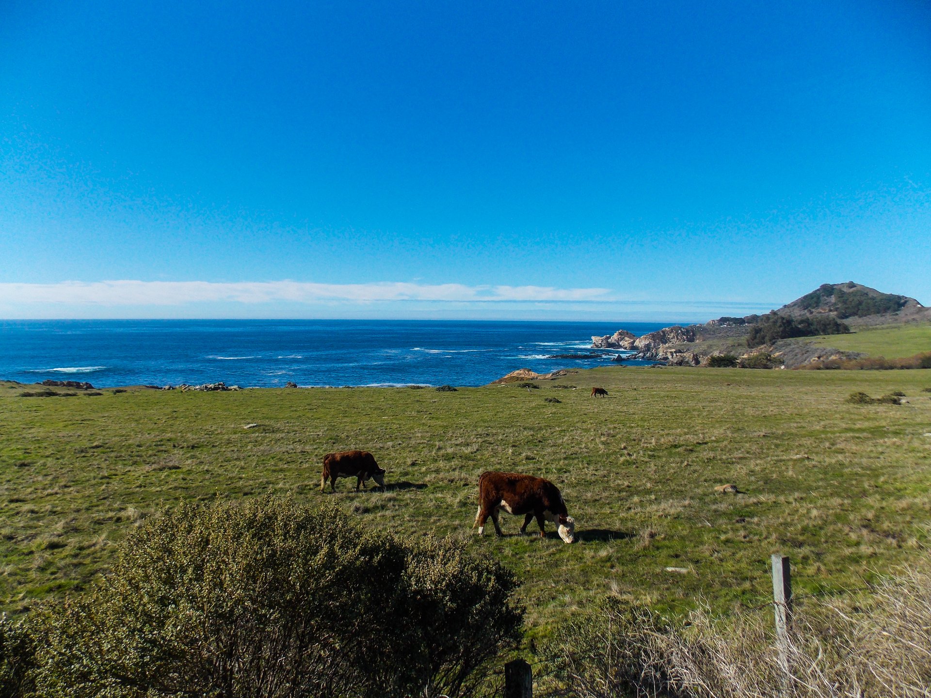 36700 Hwy 1