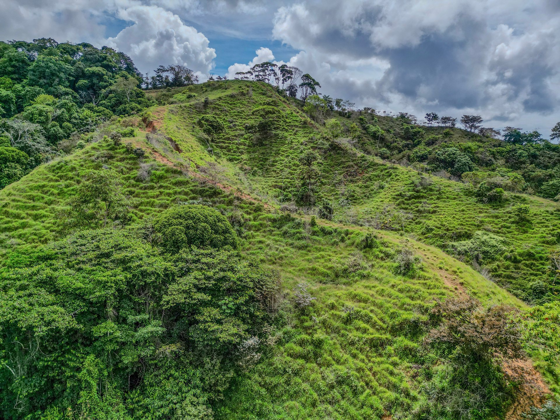59.35 ACRES- Ocean And Mountain View Land, 6 Building Areas, Legal Water, Public Road, 20min From Beaches!!!