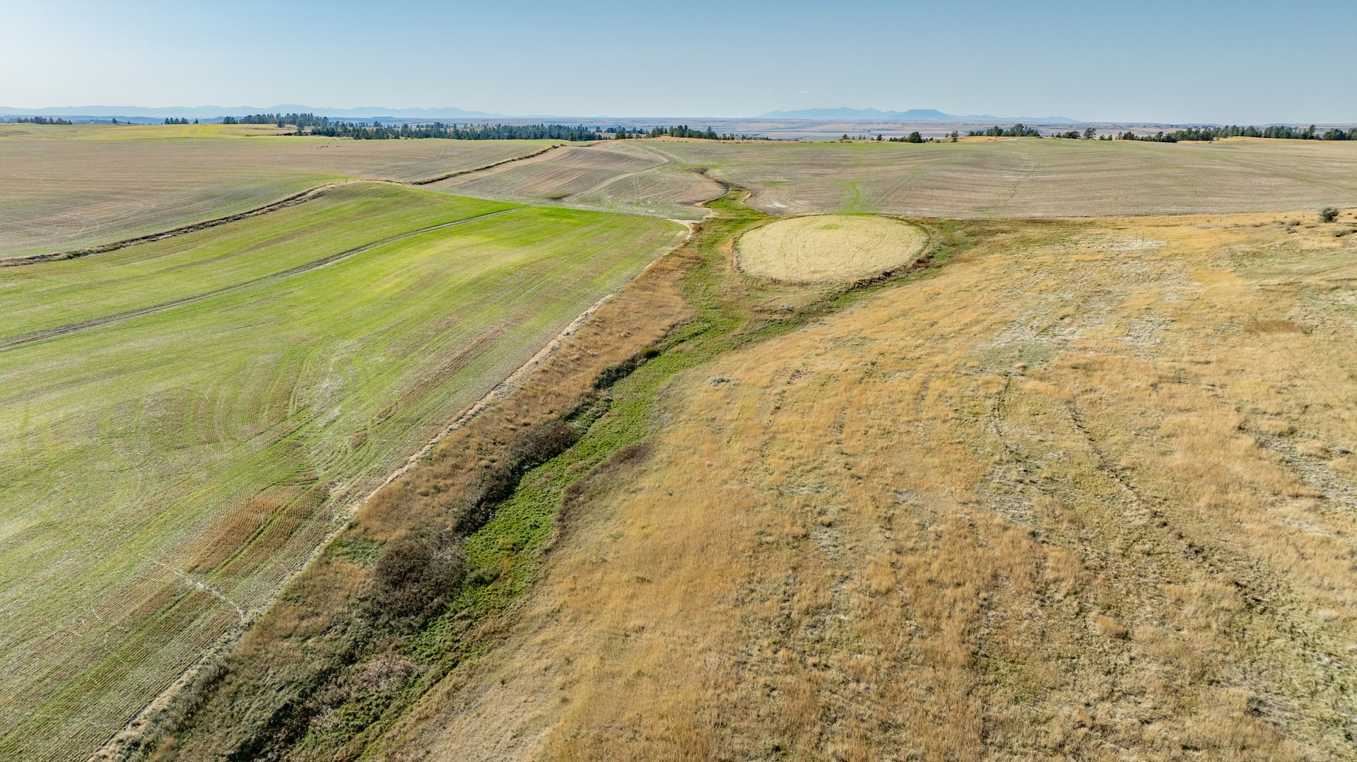 Salt Creek Ranch