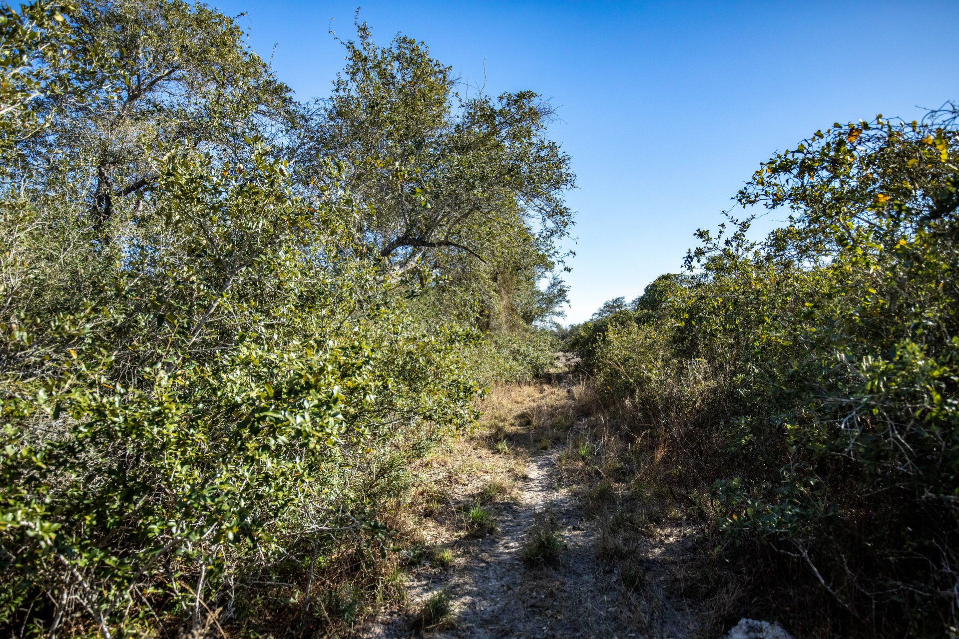 Lamar Peninsula Development Tract |  51.81± Acres | Aransas County