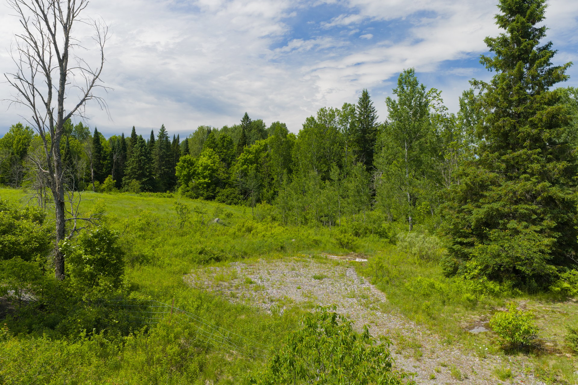 LOT 78 141 HIGHWAY