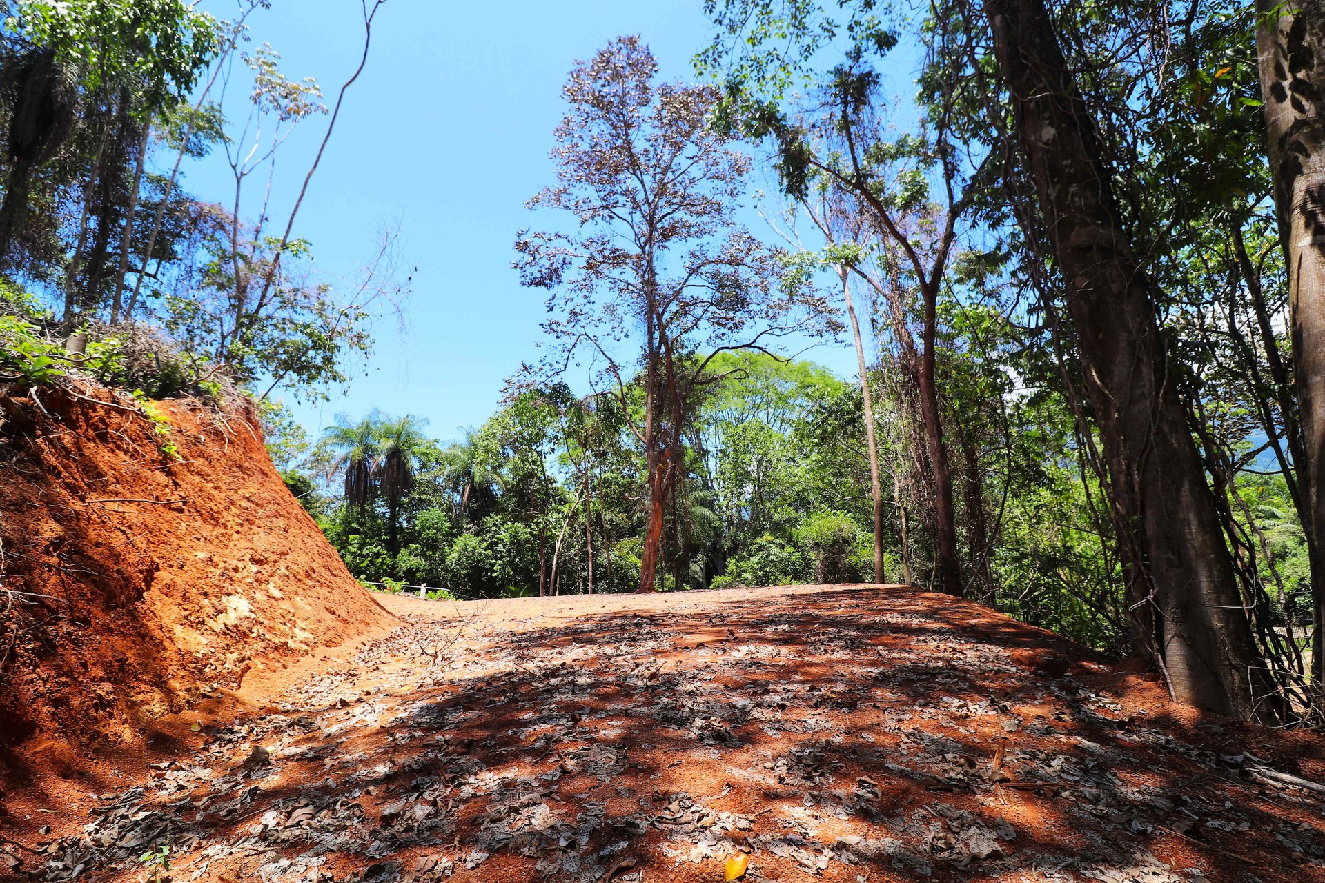 Over One Acre Attractive Lot on the Popular PEREZOSO Road.