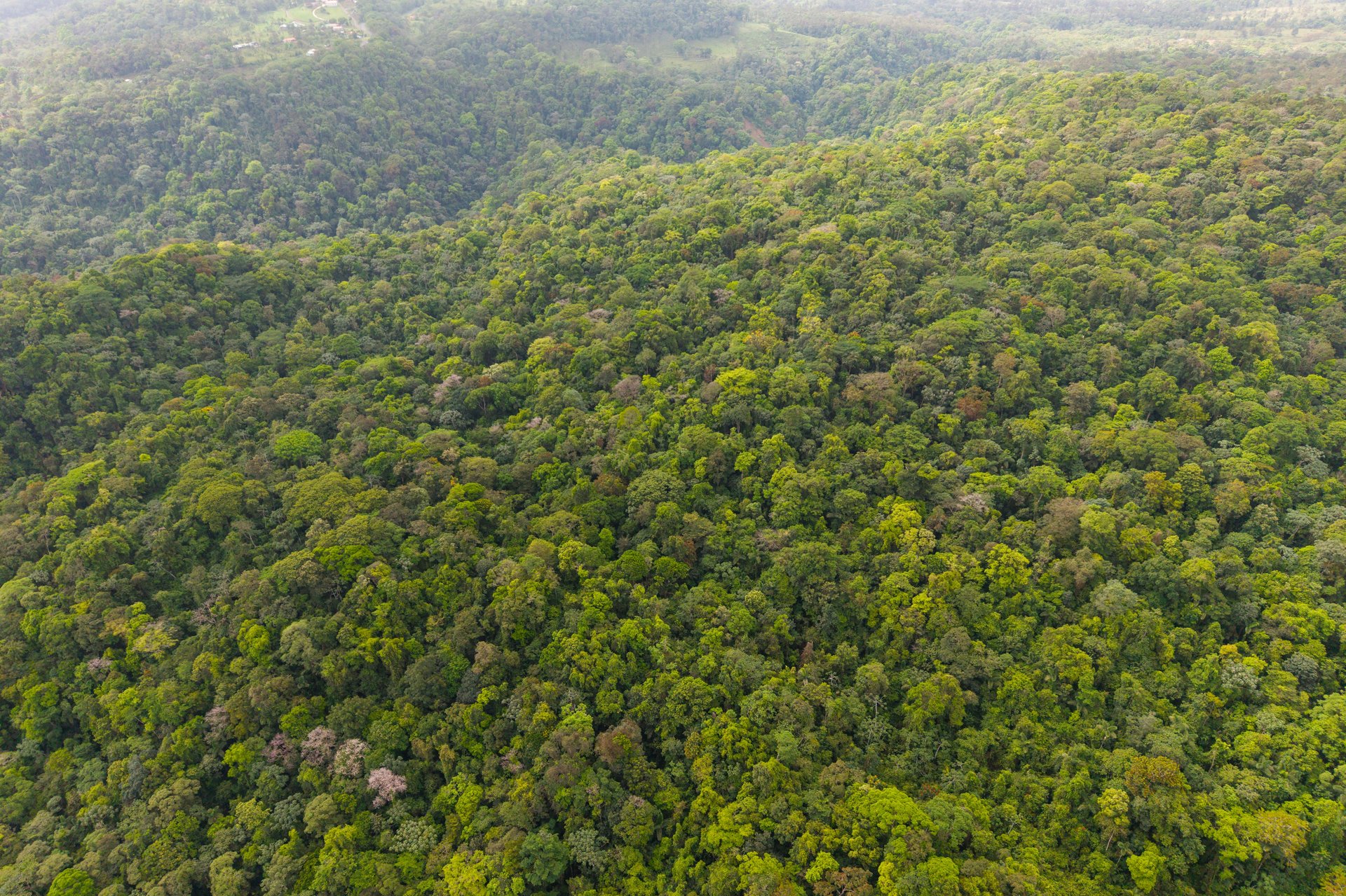 Finca Gran Bijagua | Breathtaking 10-Hectare Mountain Sanctuary in Bijagua, Costa Rica