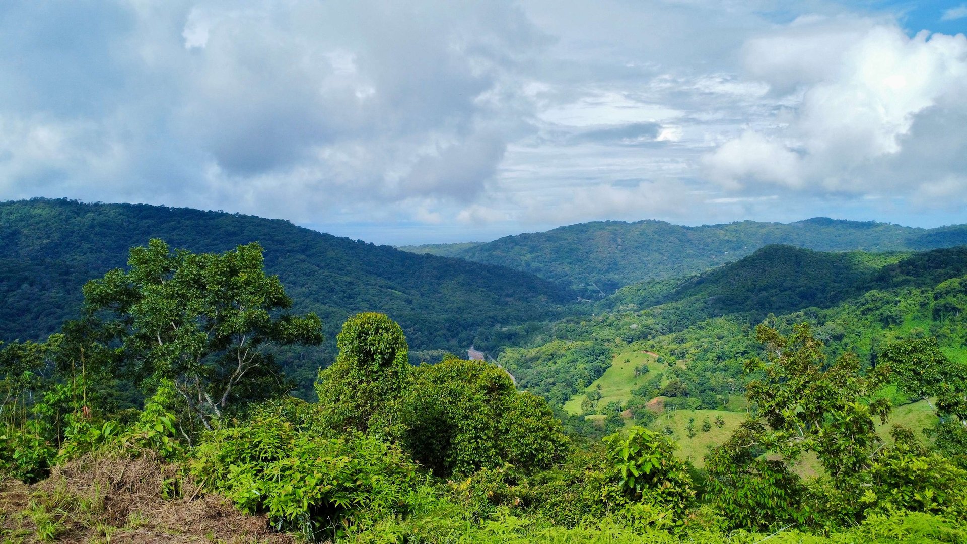 Breathtaking Mountain, River, and Ocean Views in Ideal Climate – 20 Minutes from the Beach