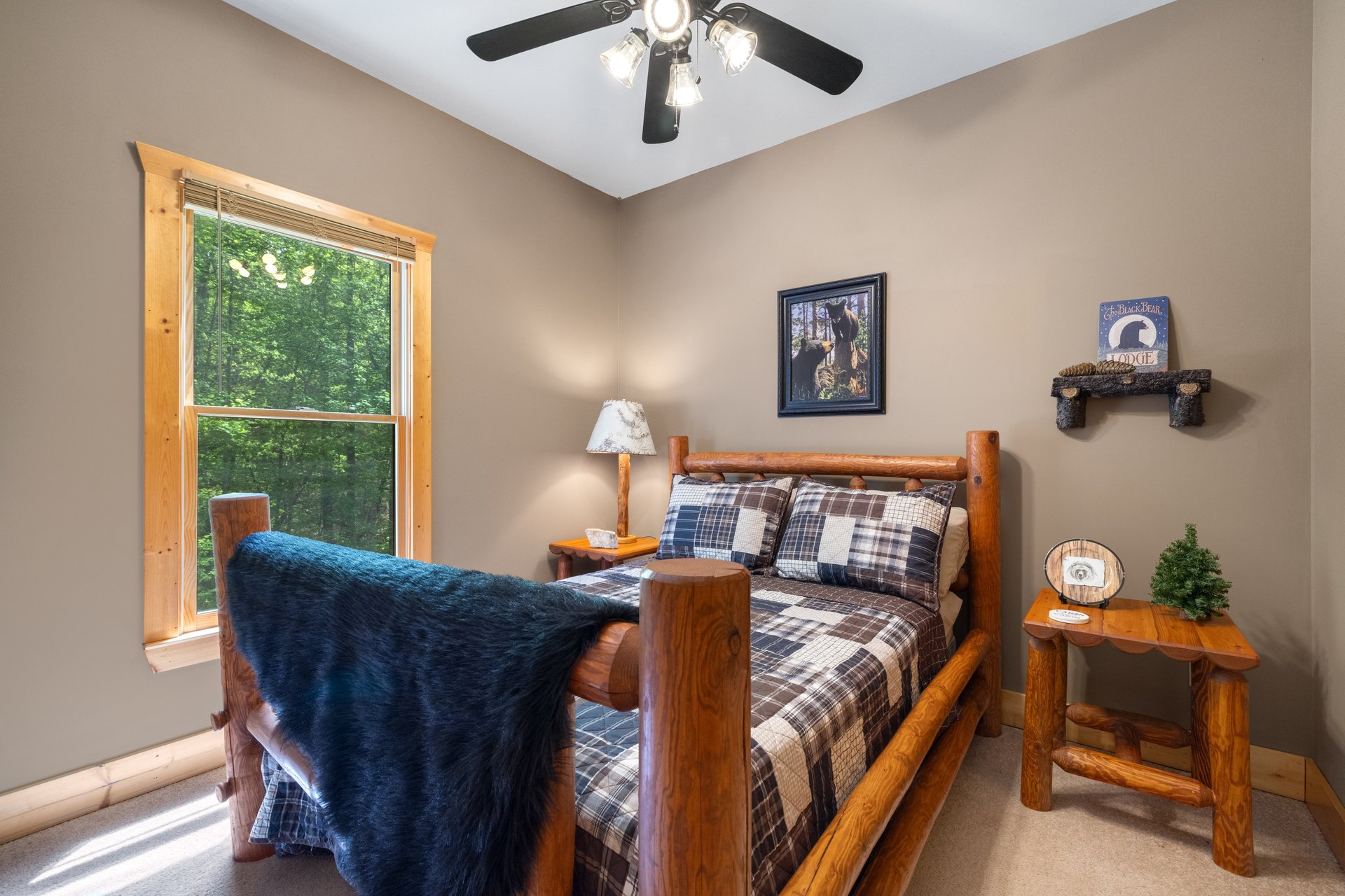 169 Wildwood Court, Ellijay, Georgia 30540