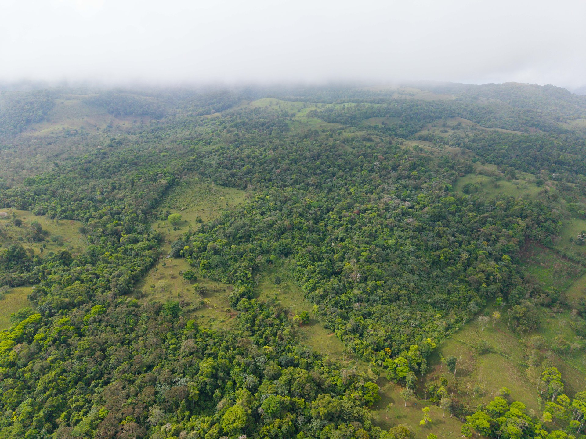 Finca Las Zompopas-Río Celeste | 113-Acre Biodiverse Property in Bijagua, Ideal for Eco-Tourism, Private Retreats, or Sustainable Development