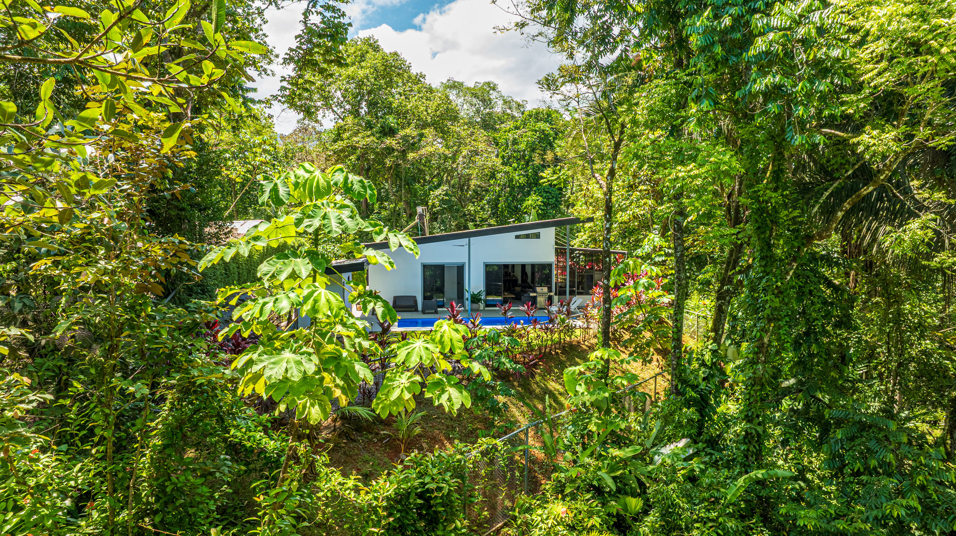 Cinco Ventanas Jungle Life Redefined