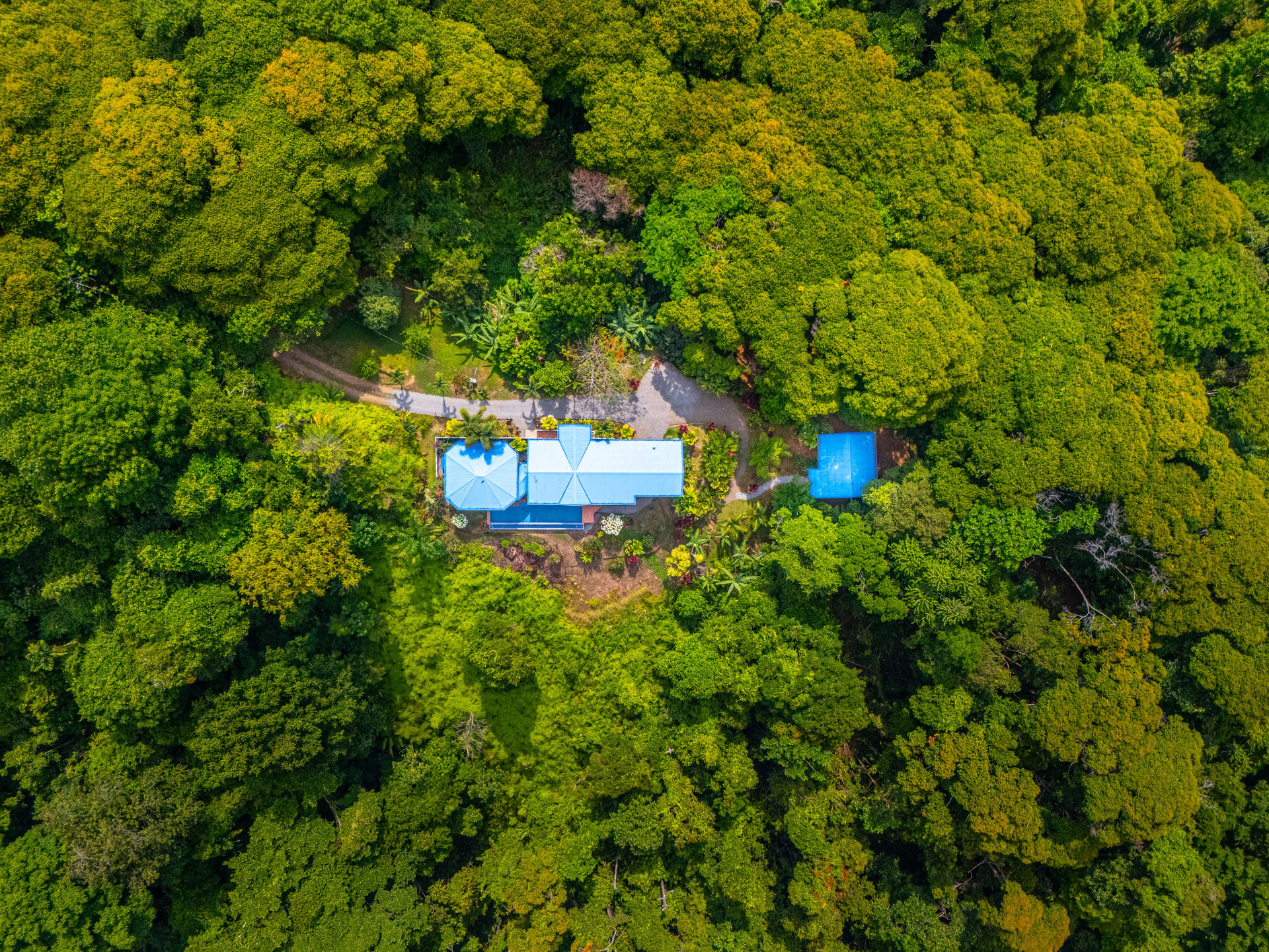 Timeless Estate in the Mountains of Escaleras — Ocean Views, Privacy, and Protected Nature on Nearly 5 Acres