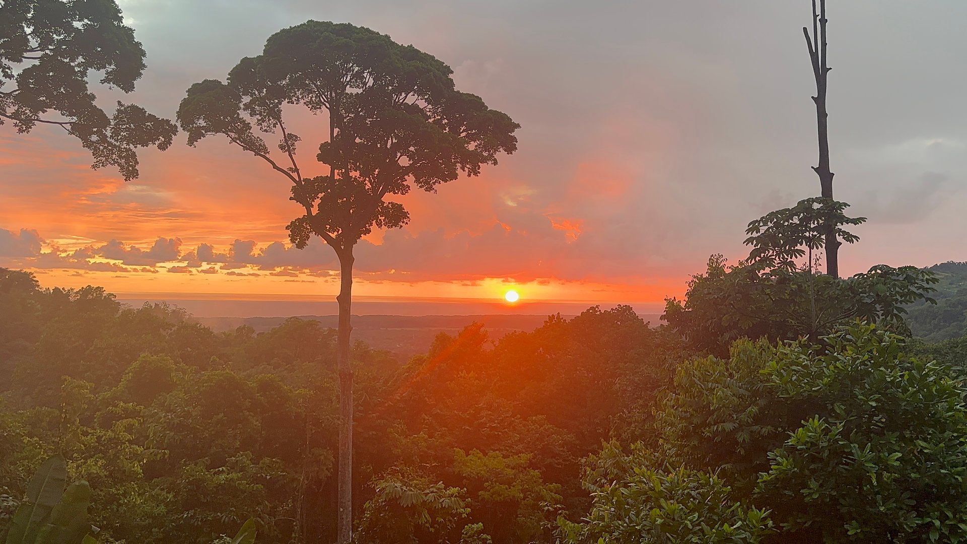 Casa OdiSea – Private Ocean View Estate with Waterfall Access in Portasol, Costa Rica