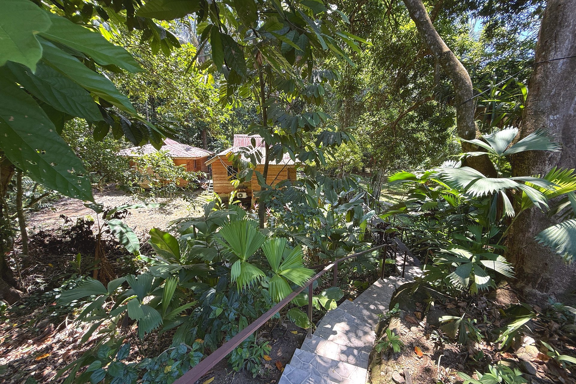  Gorgeous Jungle Hotel with 11 Beds including Owner/Manager Unit, Sparkling Pool & River Setting in Ojochal Costa Rica