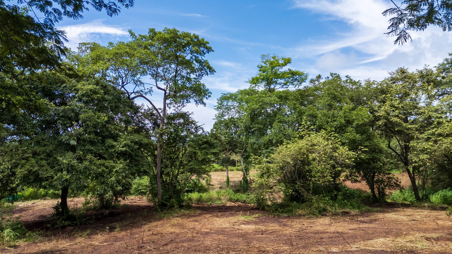 Lot Across Mar Vista | Prime 12,775 m² Development Lot Near Playa Flamingo with Subdivision Potential