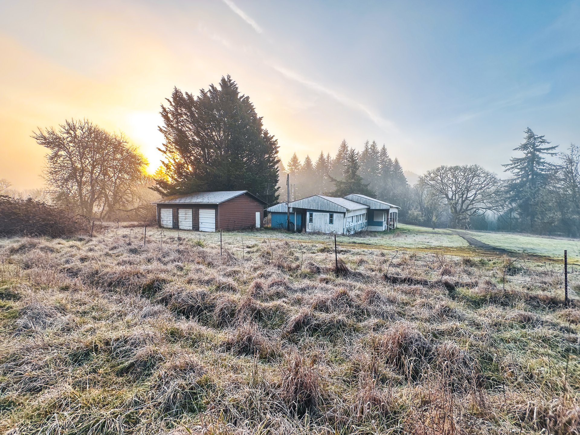 HARRIS FARM & FOREST