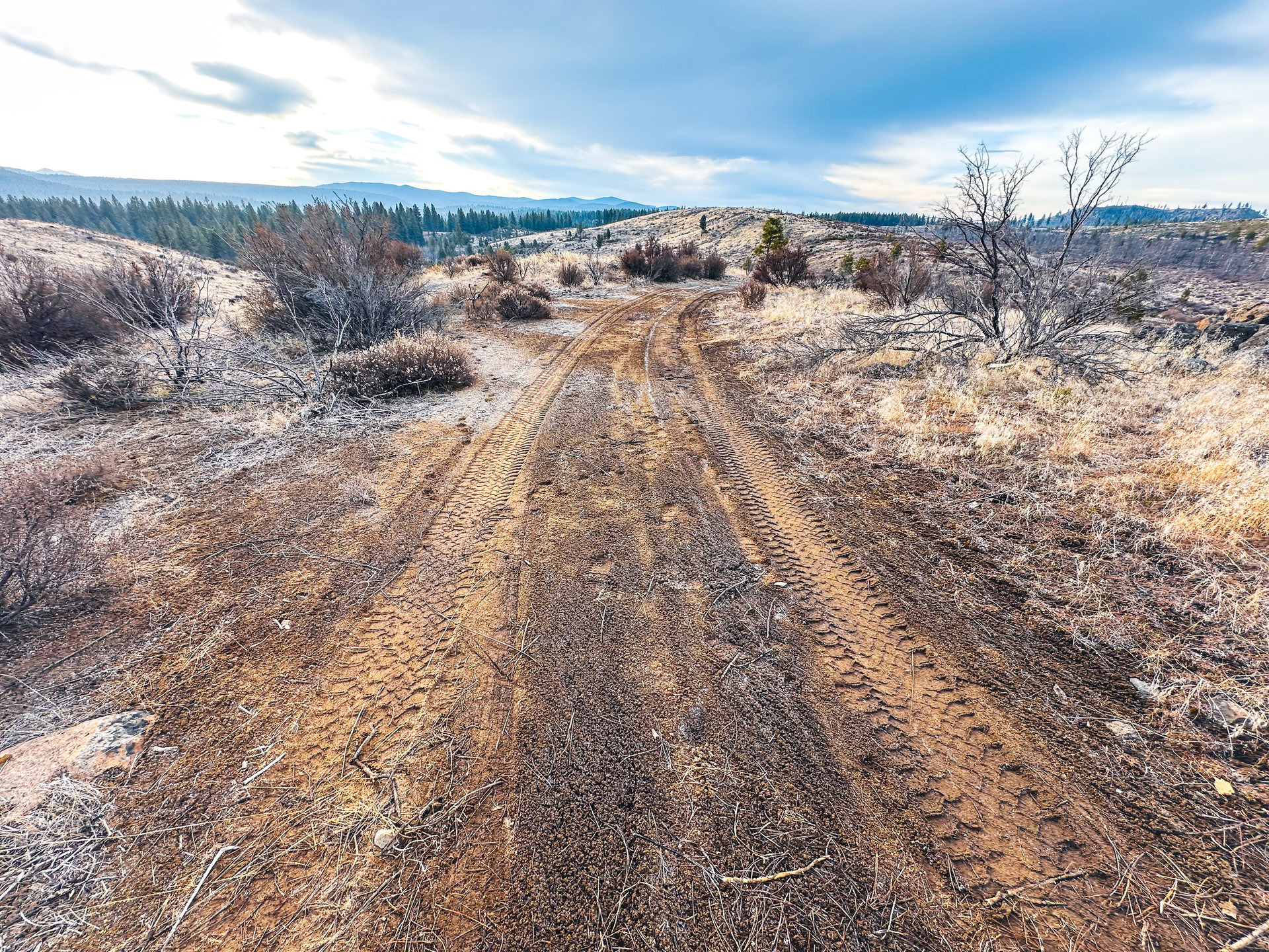 Klamath Basin