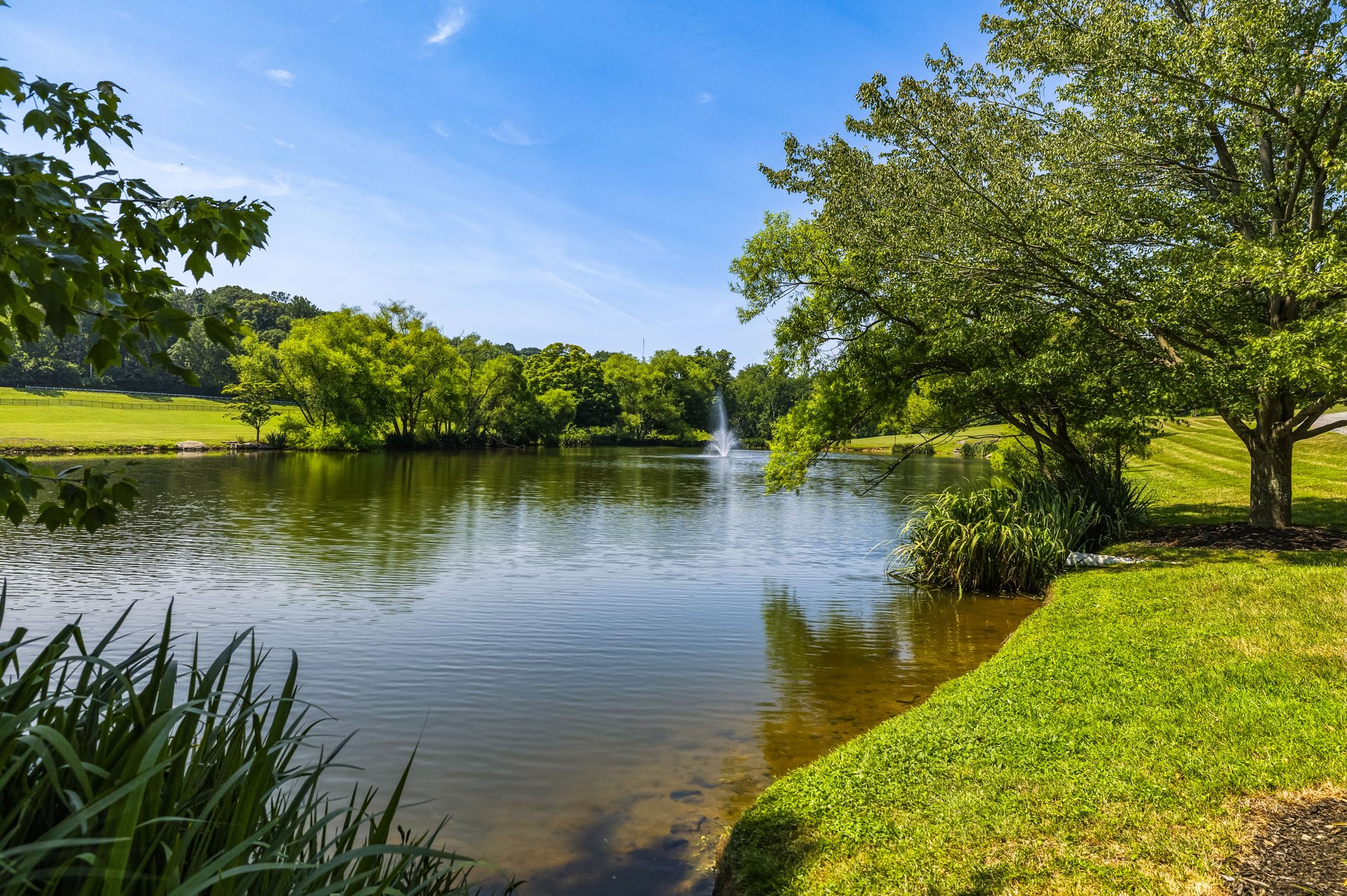 55 Acre Monkton Estate Farm