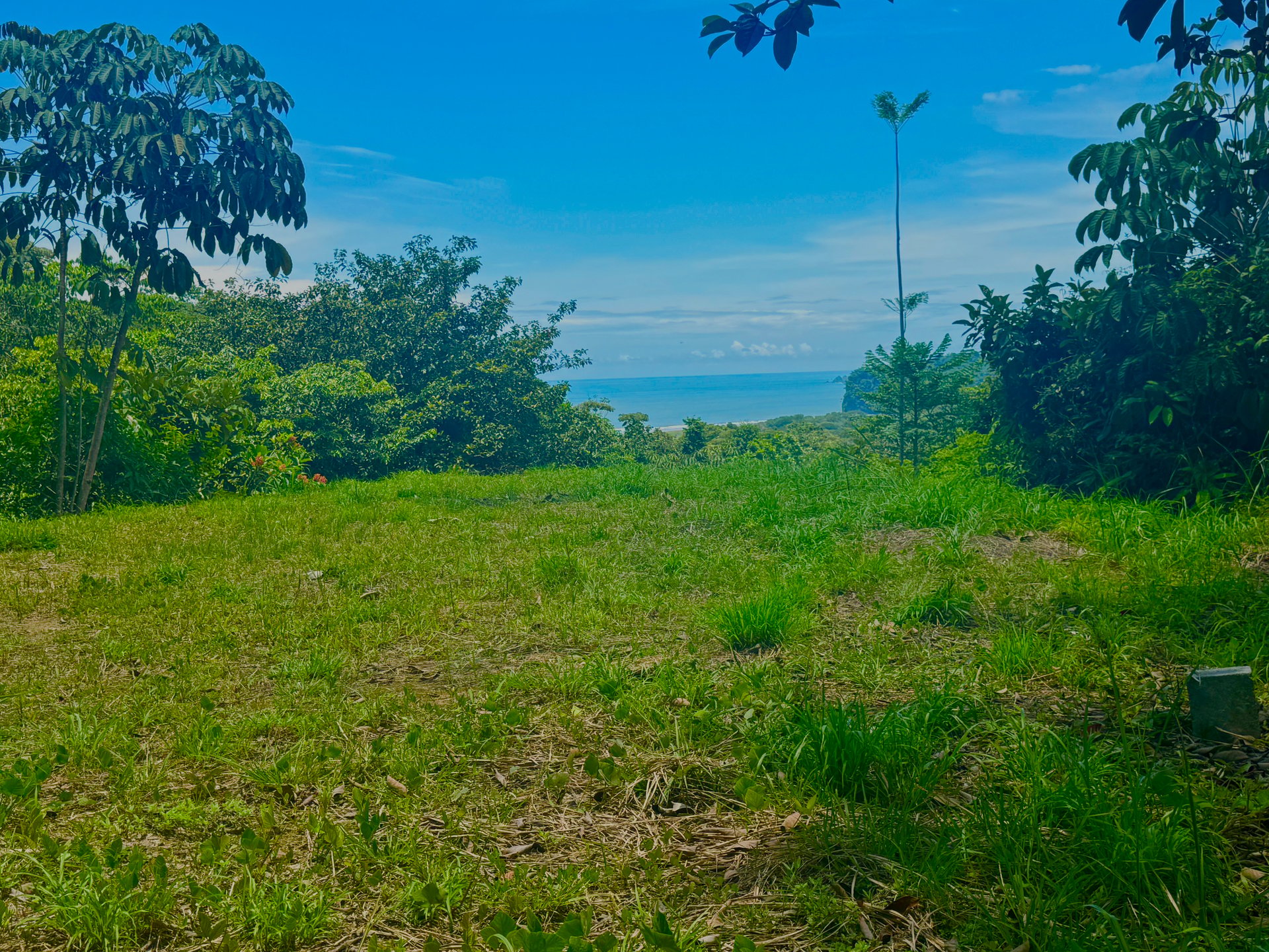 Lot in Calle Perezoso