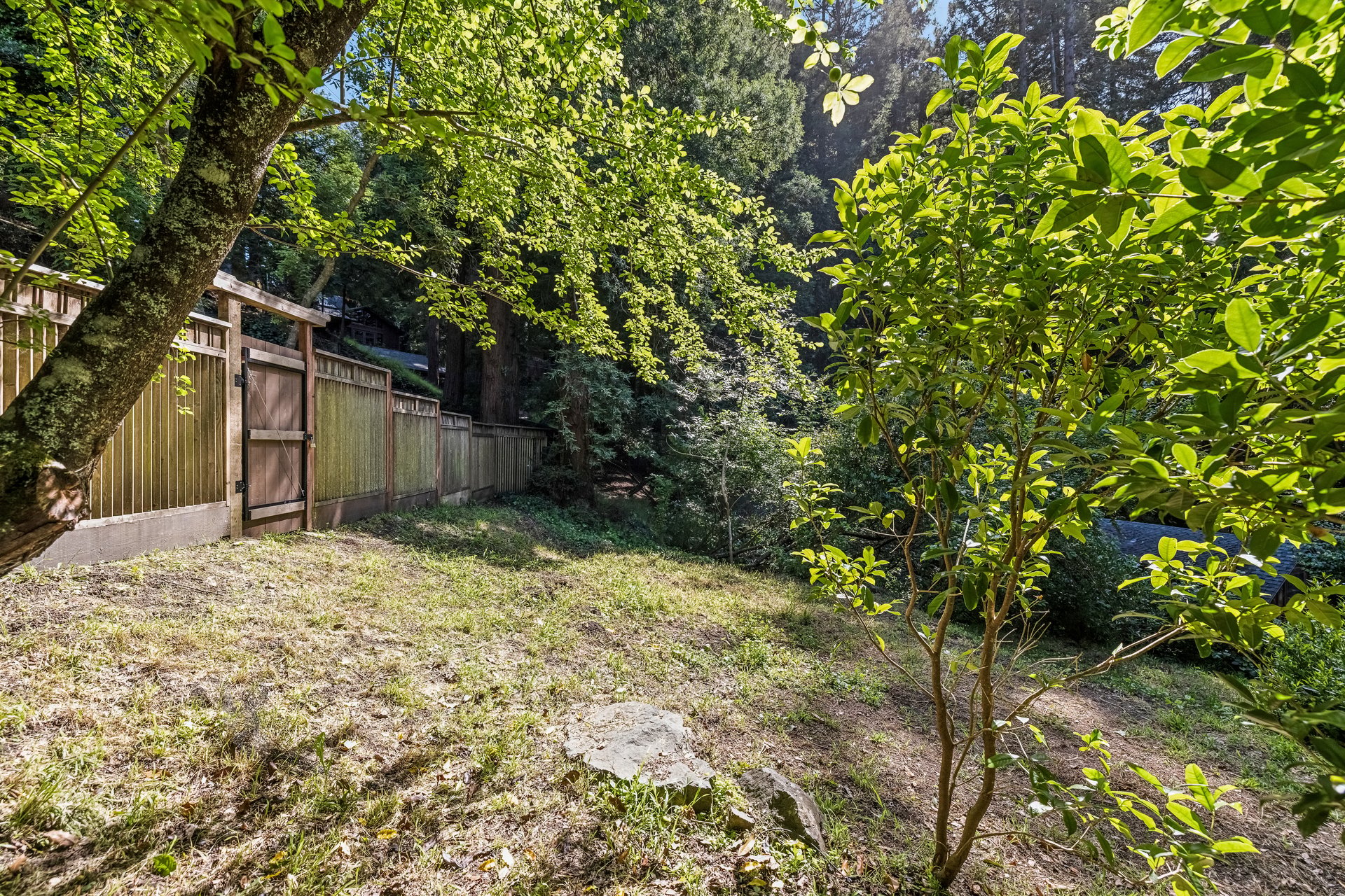 183 Molino Avenue, Mill Valley
