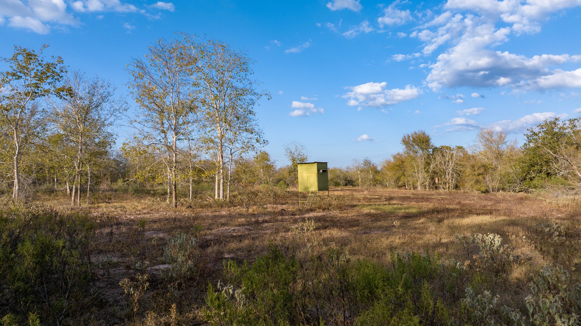 Gonzales County | 104+/- Acres