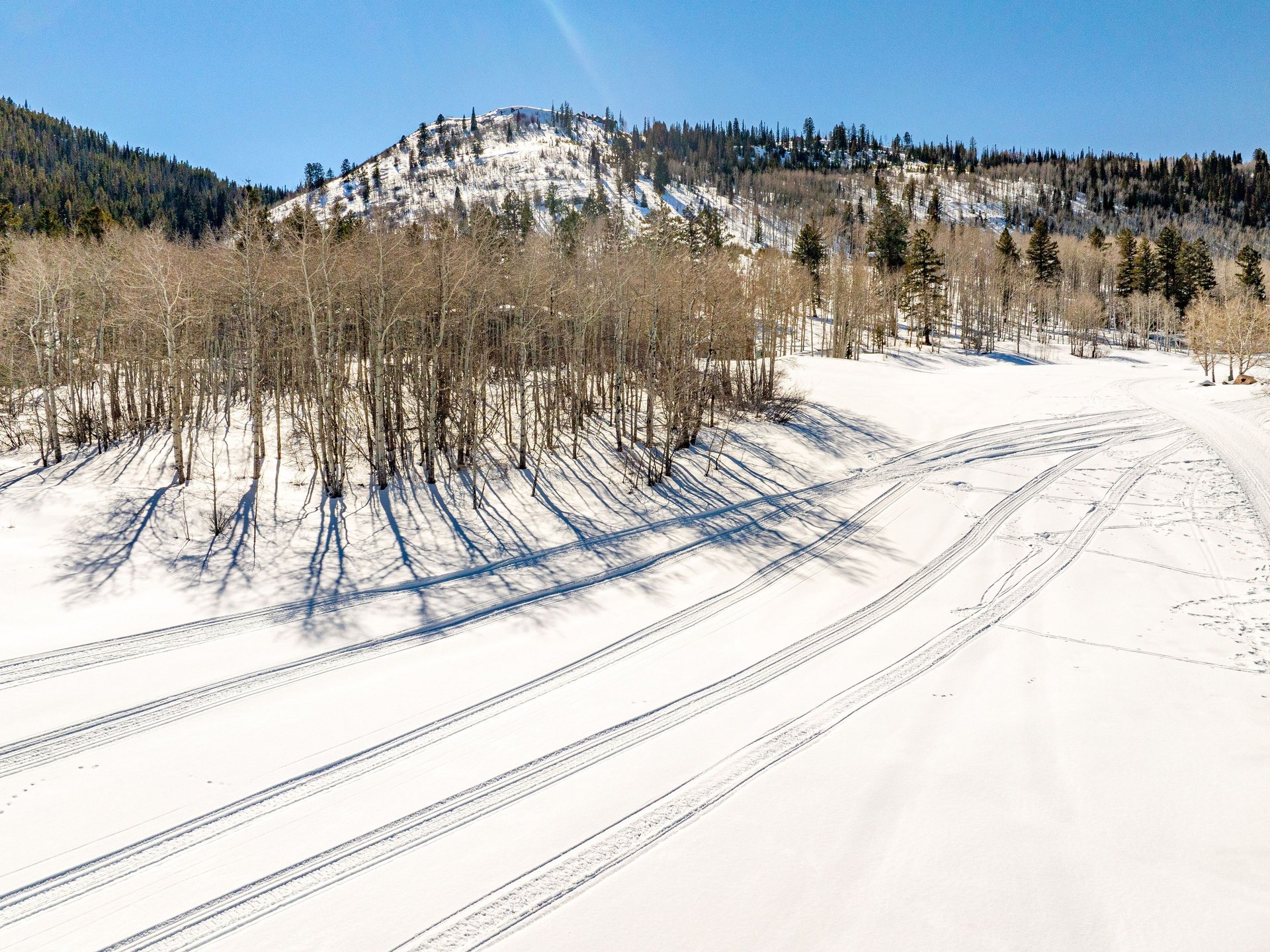 320 Elk Spring Trail