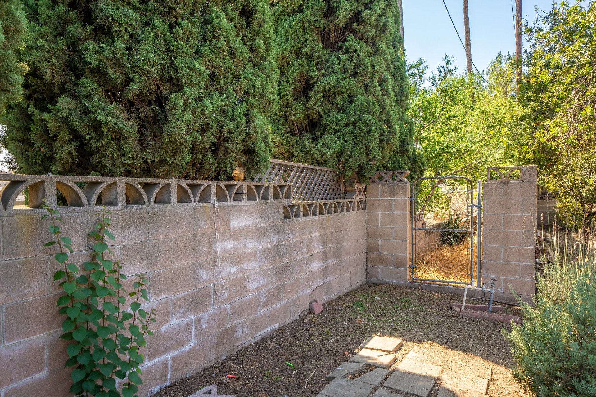 952 Occidental Drive