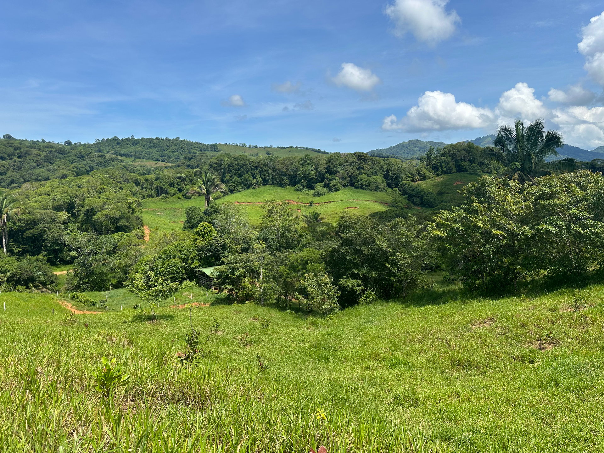 8.78 Acres Mountain View Estate with Water, Infrastructure & Endless Development Potential | Platanillo de Barú, Costa Rica