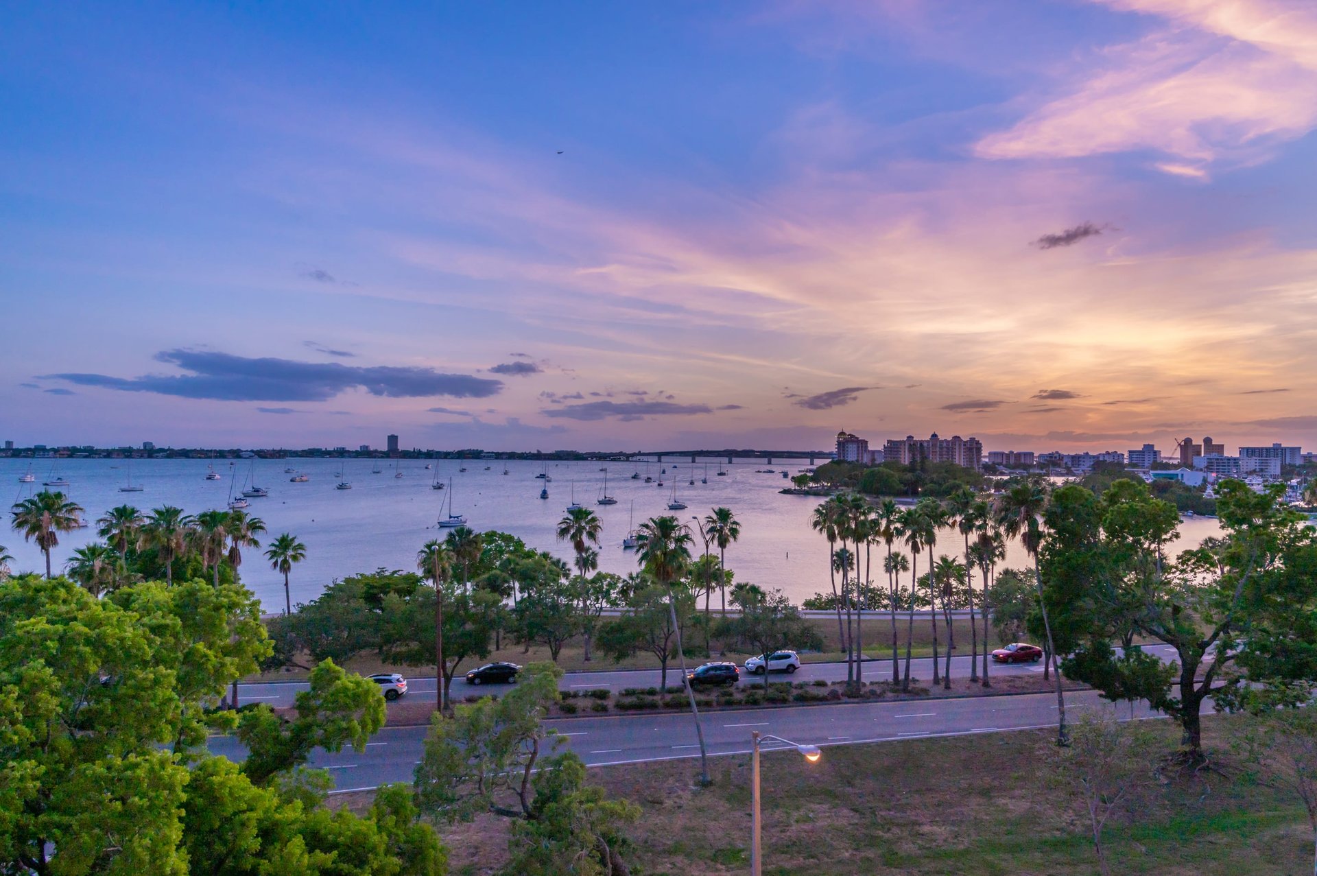 624 Palm