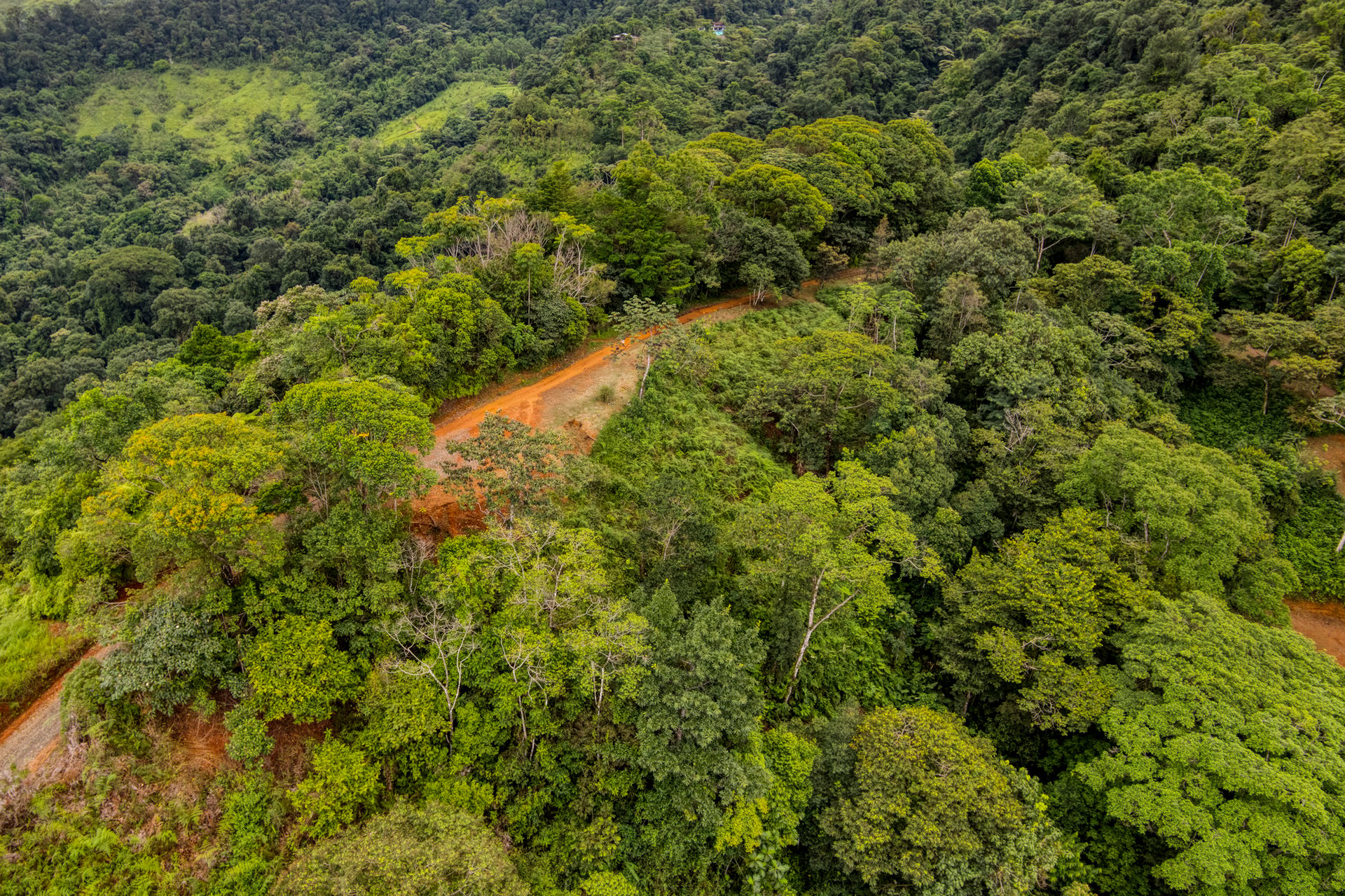 Once in a Lifetime Waterfall Farm in a Pristine Biological Corridor