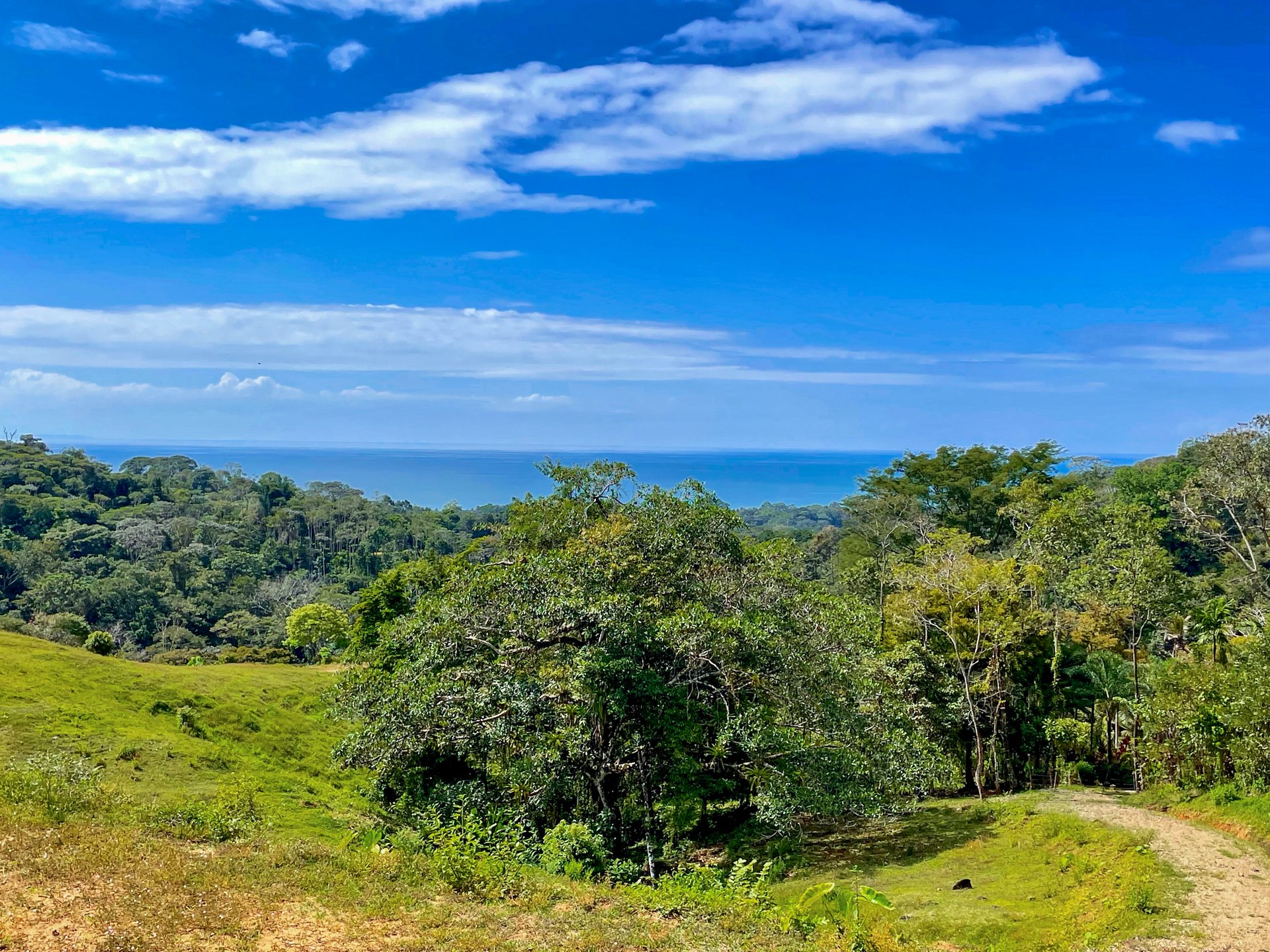 2.24 ACRES – 7 Bedrooms Ocean View Boutique Hotel With Two Pools, 5 Minutes to Uvita, Multiple Rental Options!!